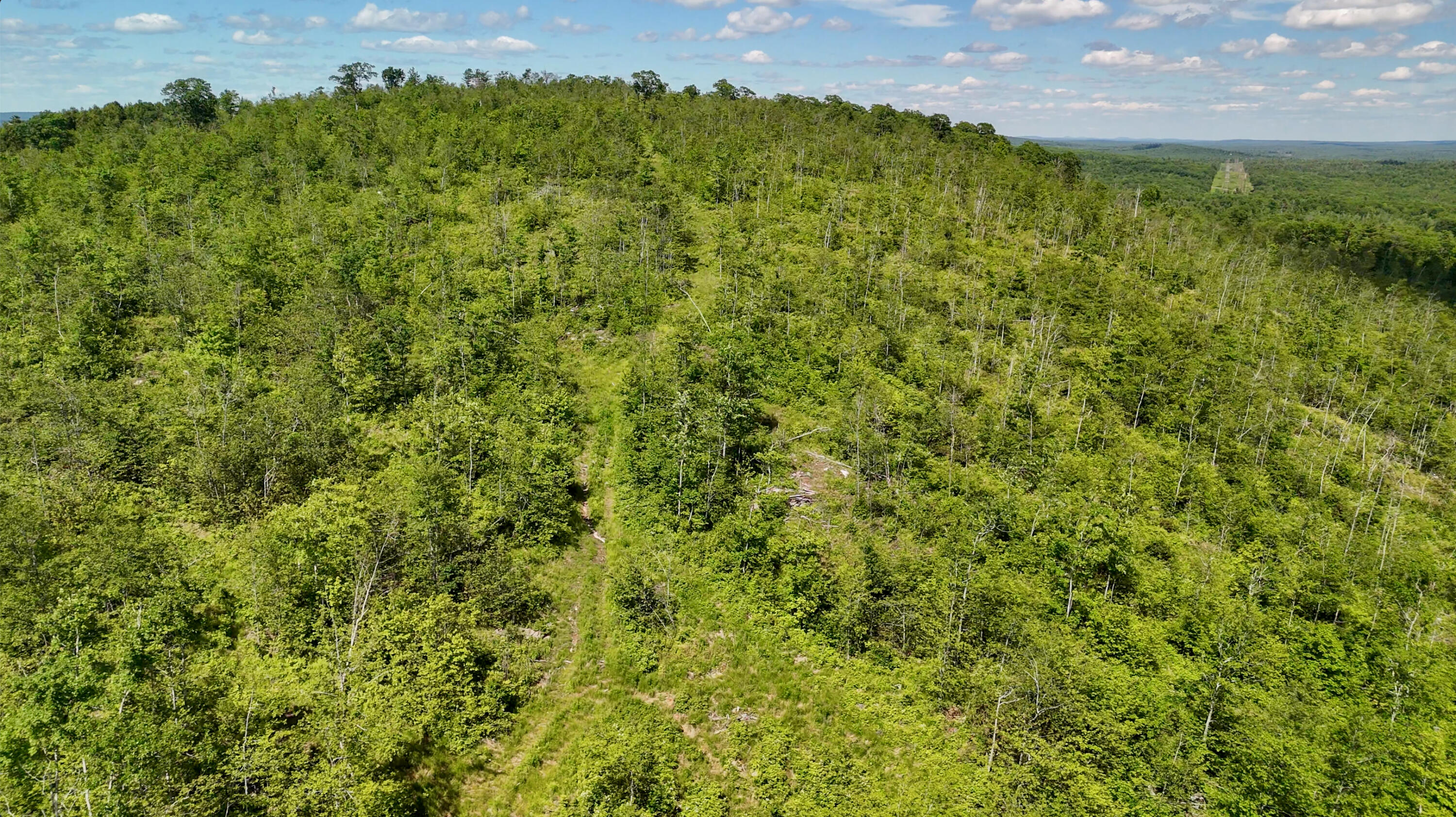 775 Old County Road