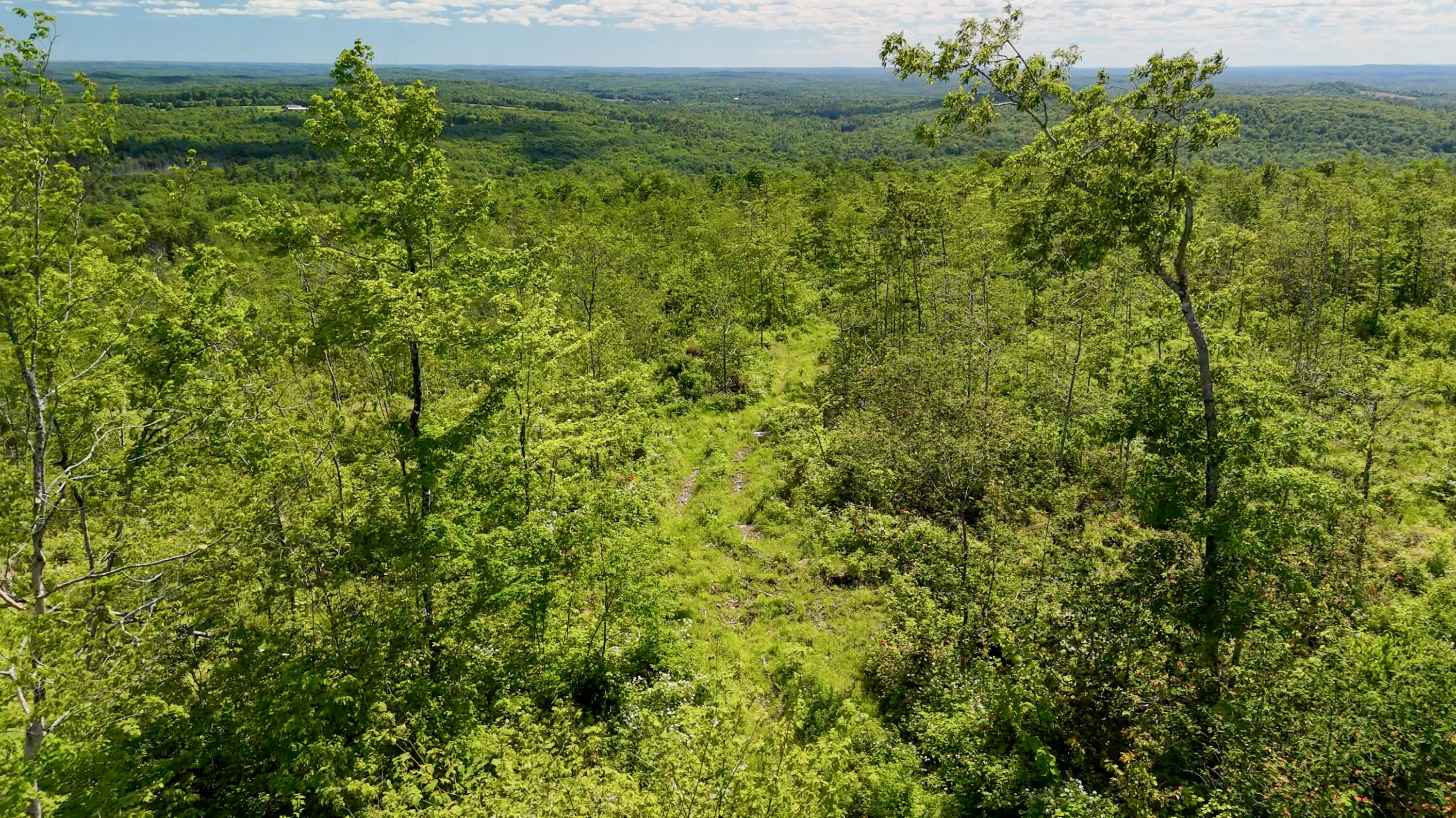 775 Old County Road