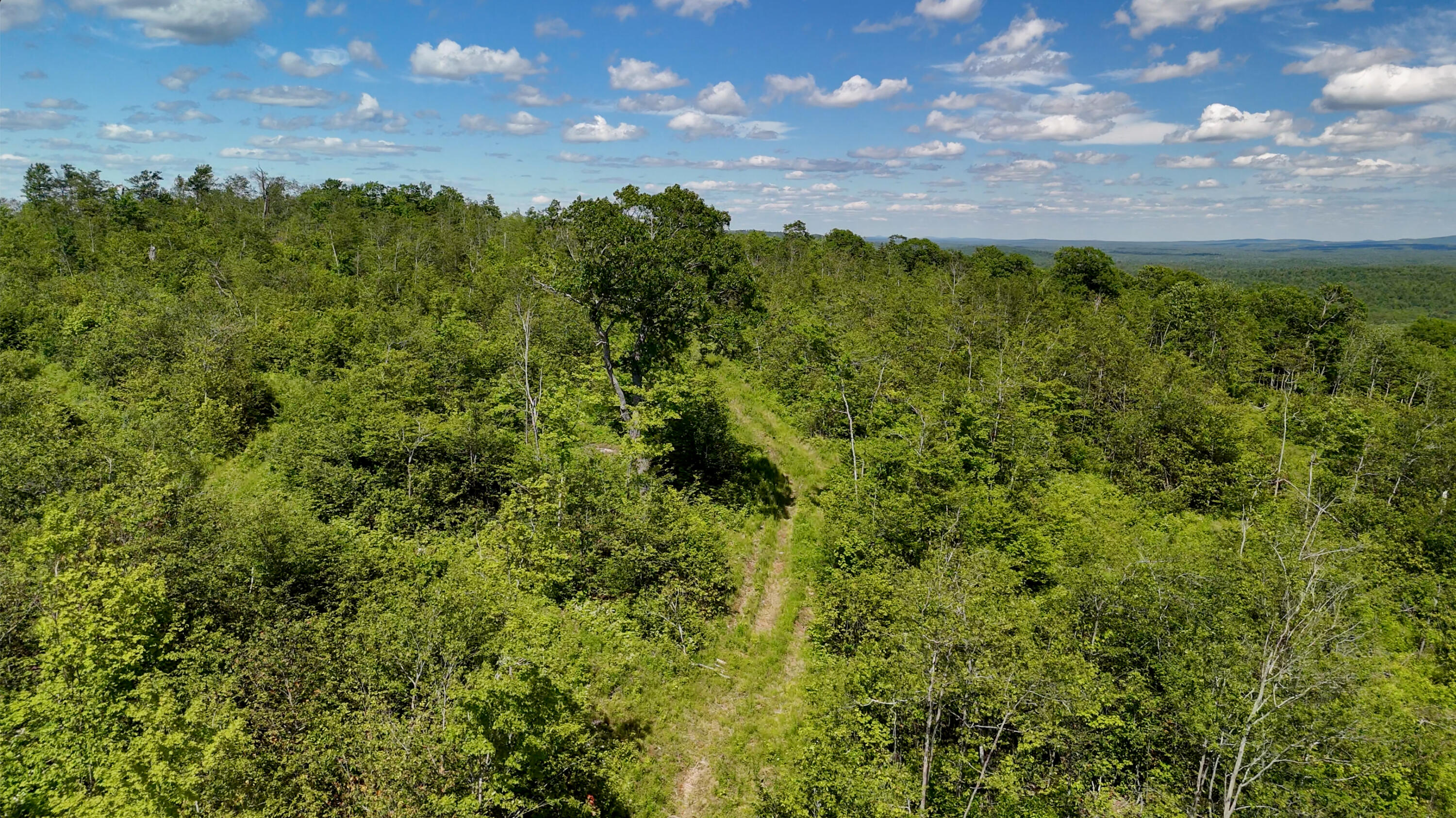 775 Old County Road