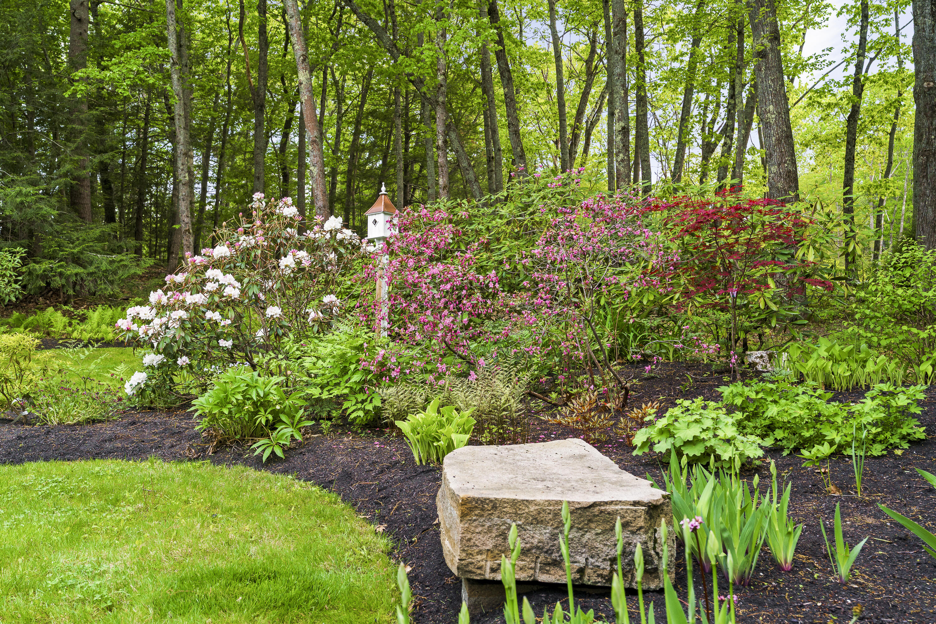 9 Conifer Ridge Road