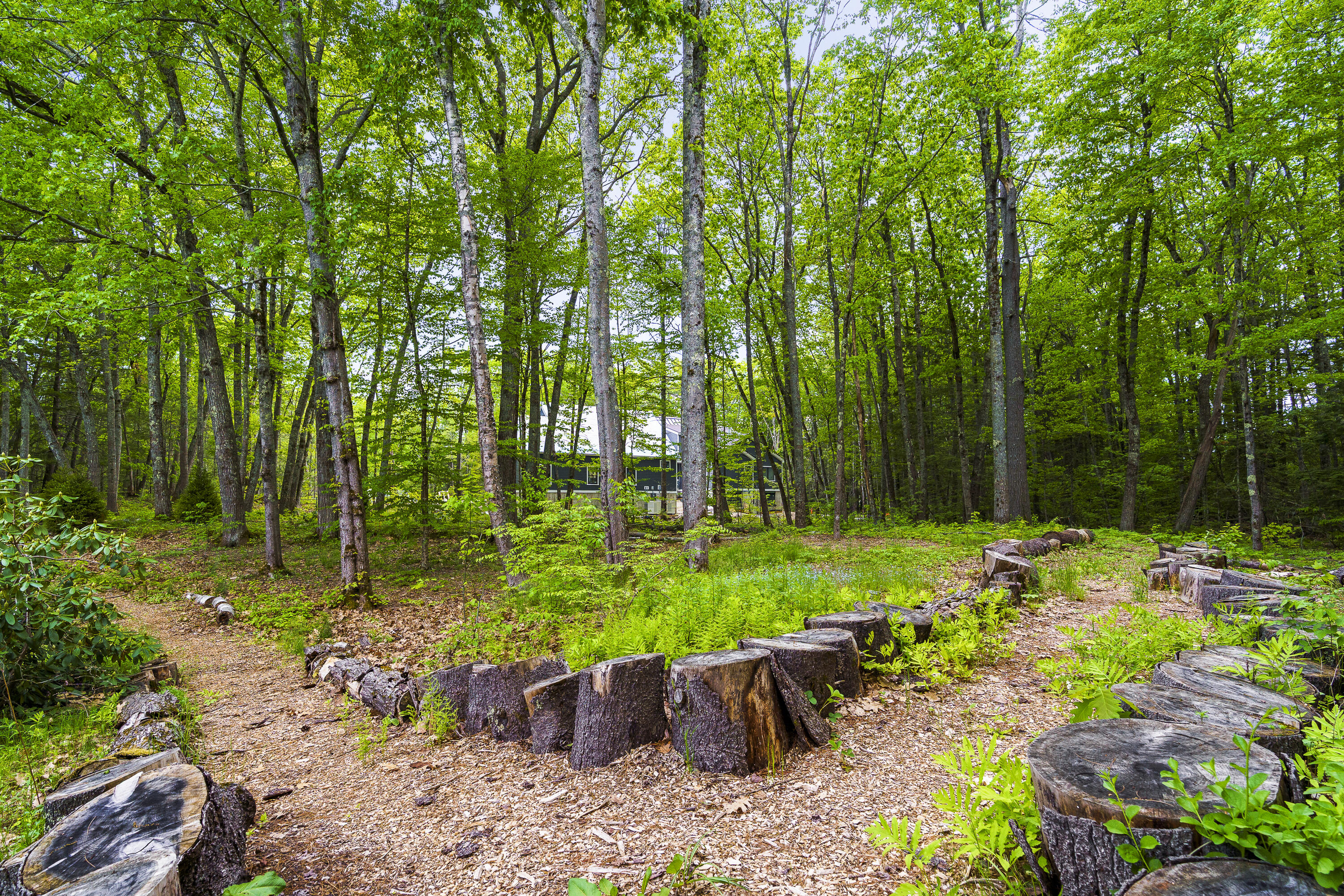 9 Conifer Ridge Road