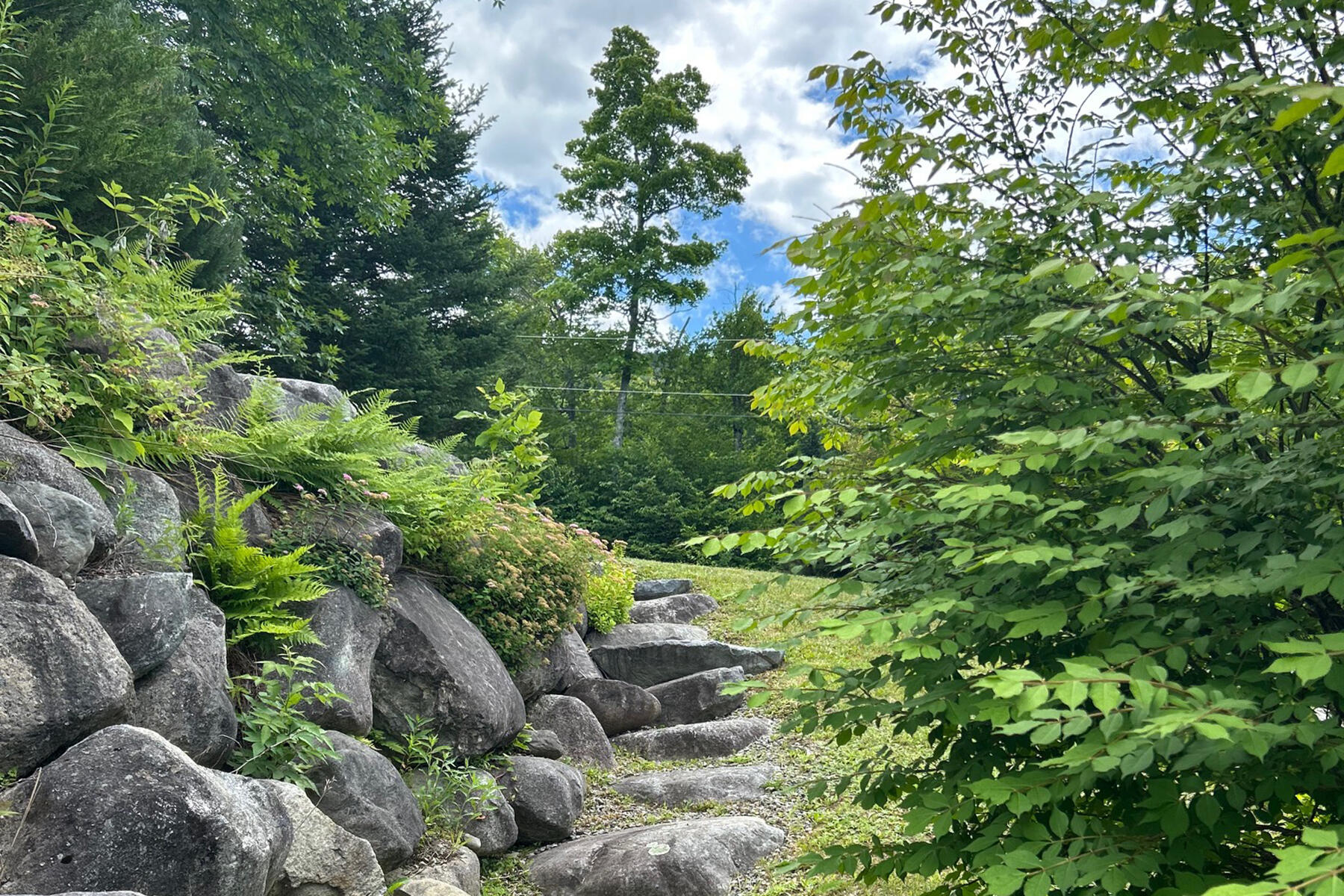 84 Ira Mountain Road