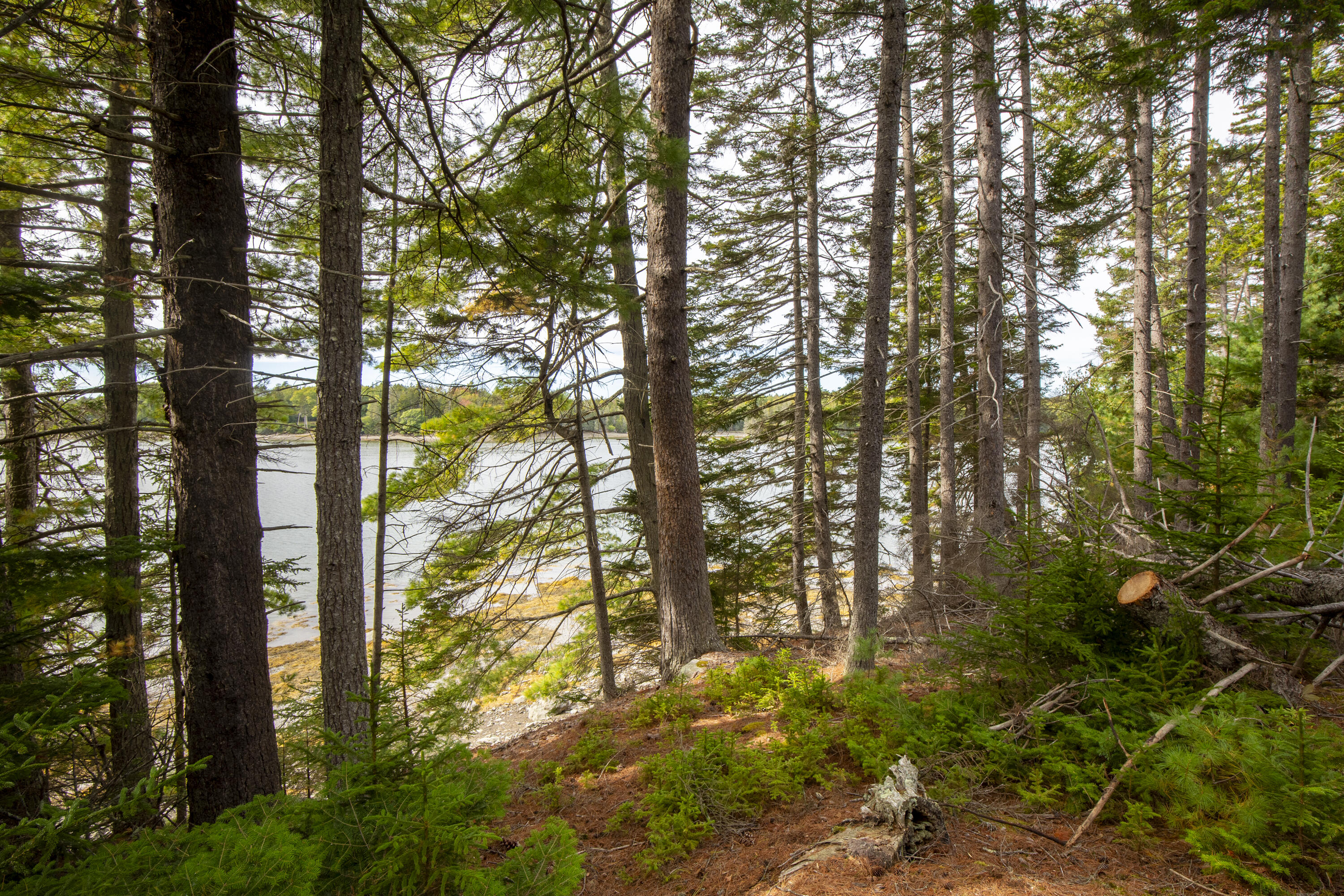 Lot 7 Ocean Ridge Road