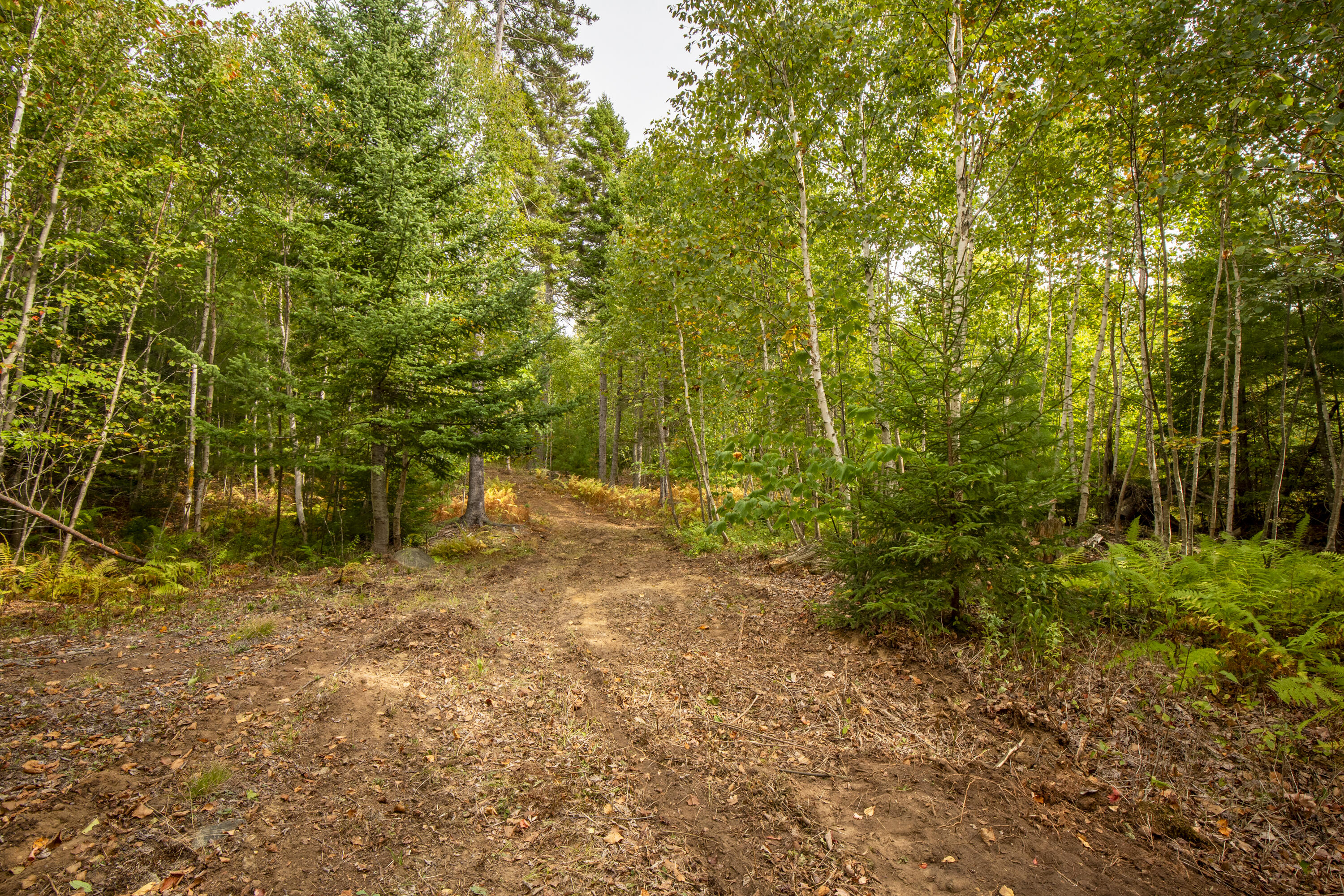 Lot 7 Ocean Ridge Road