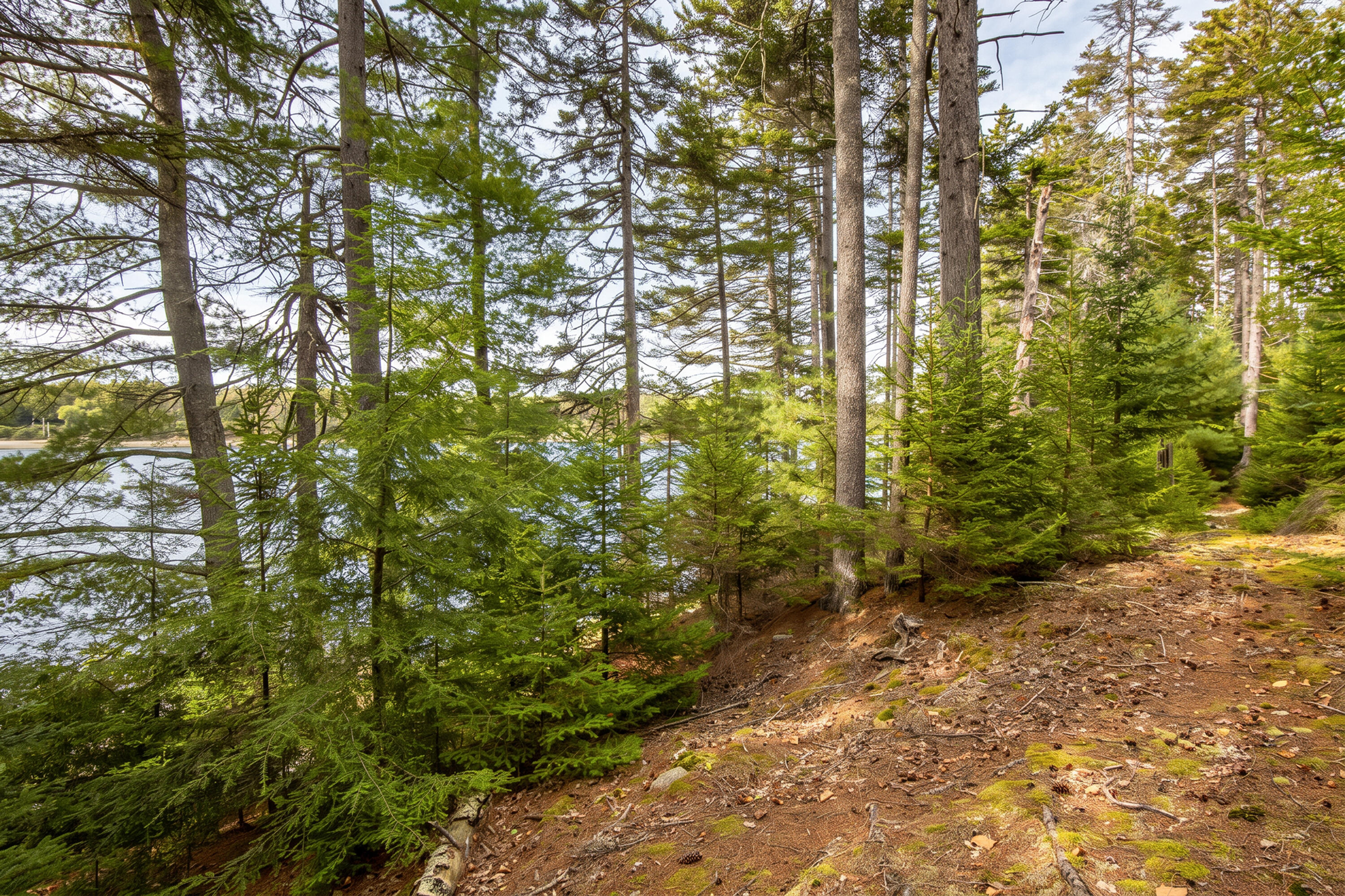 Lot 7 Ocean Ridge Road