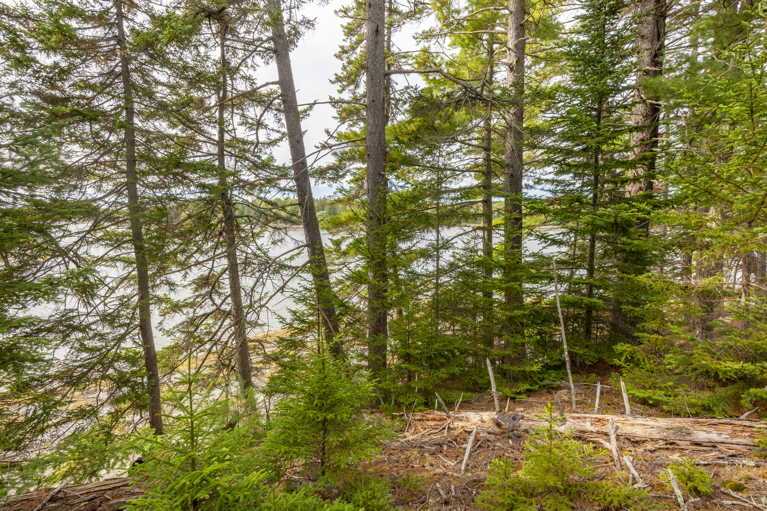Lot 7 Ocean Ridge Road