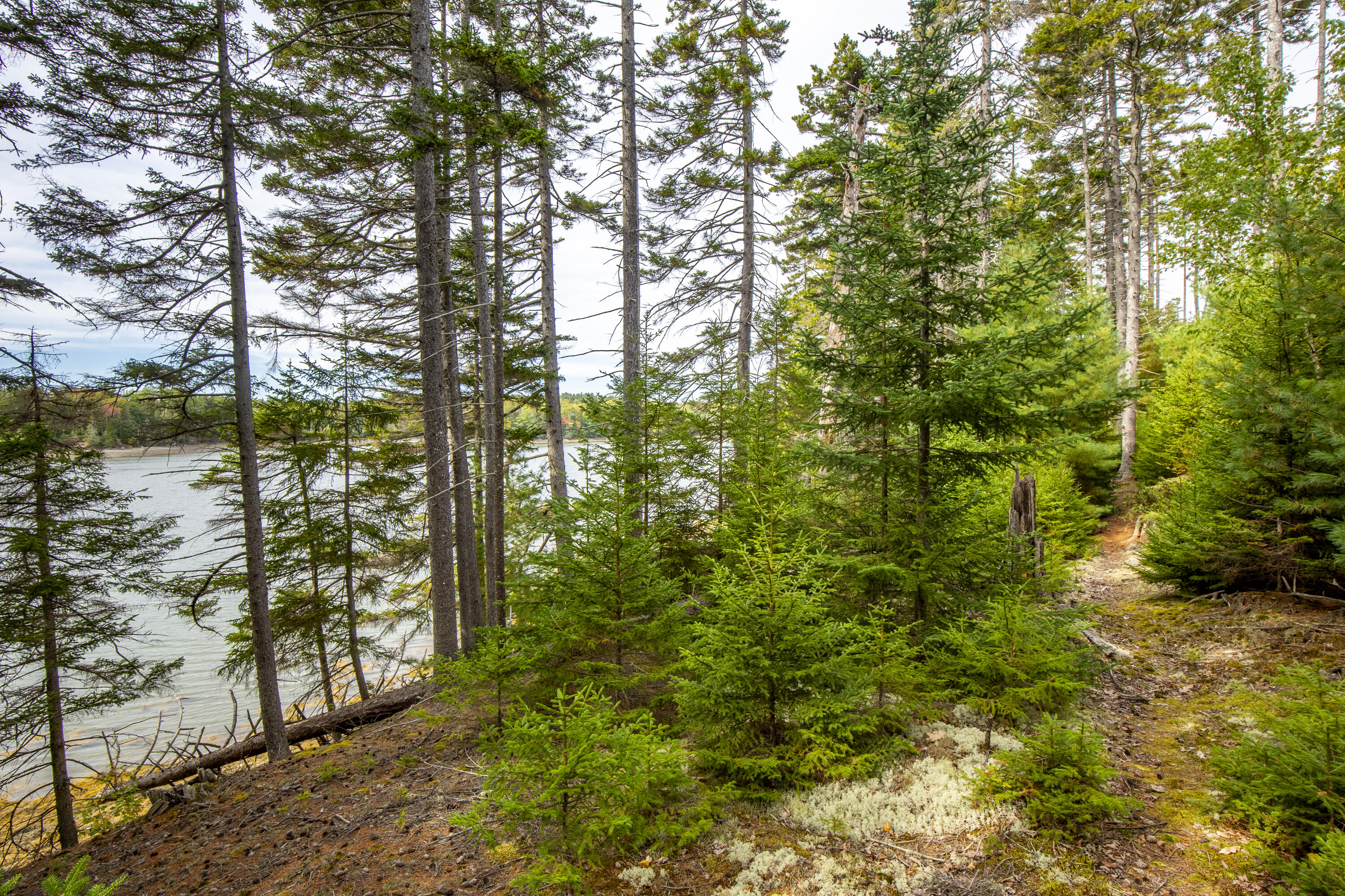 Lot 7 Ocean Ridge Road