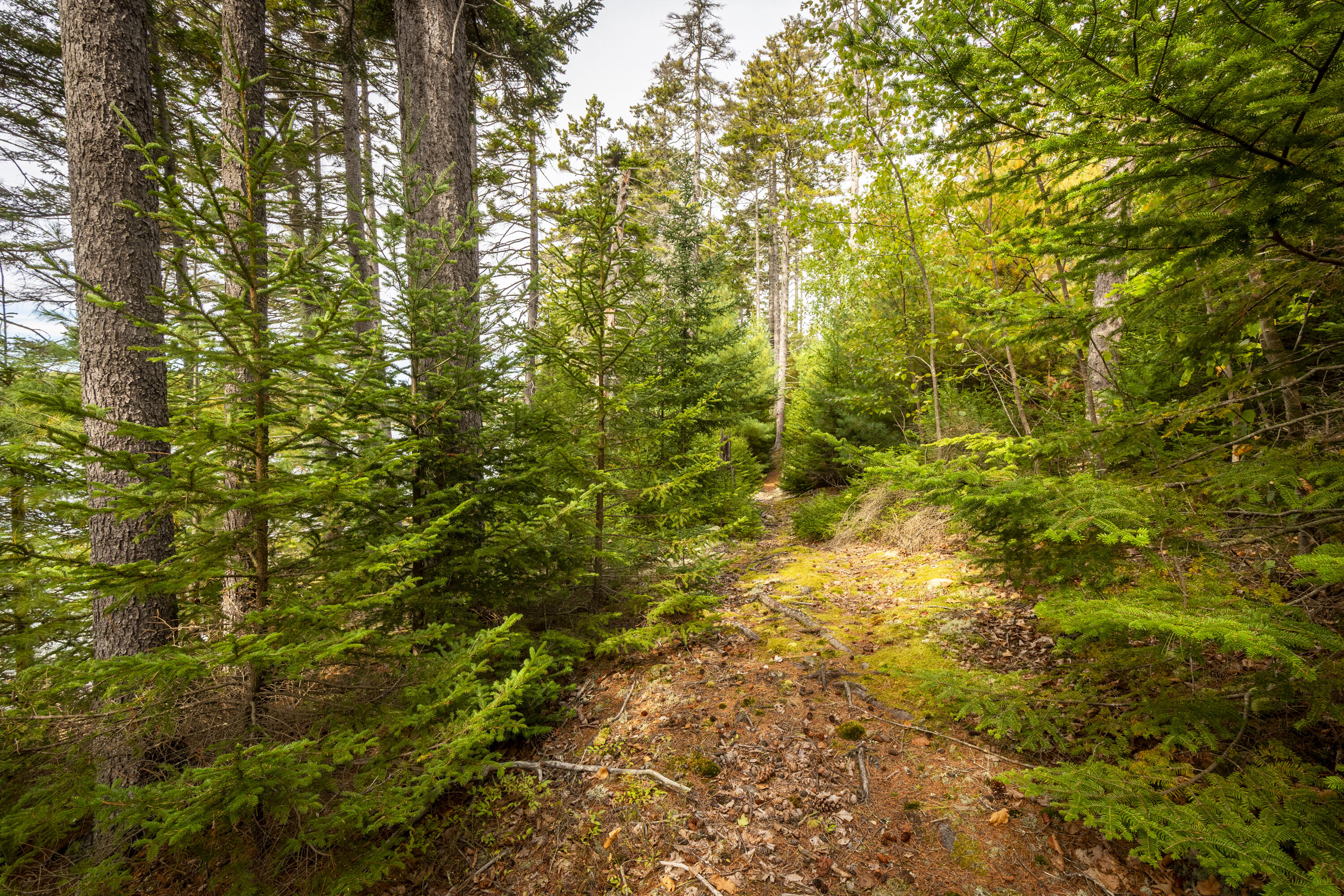 Lot 7 Ocean Ridge Road