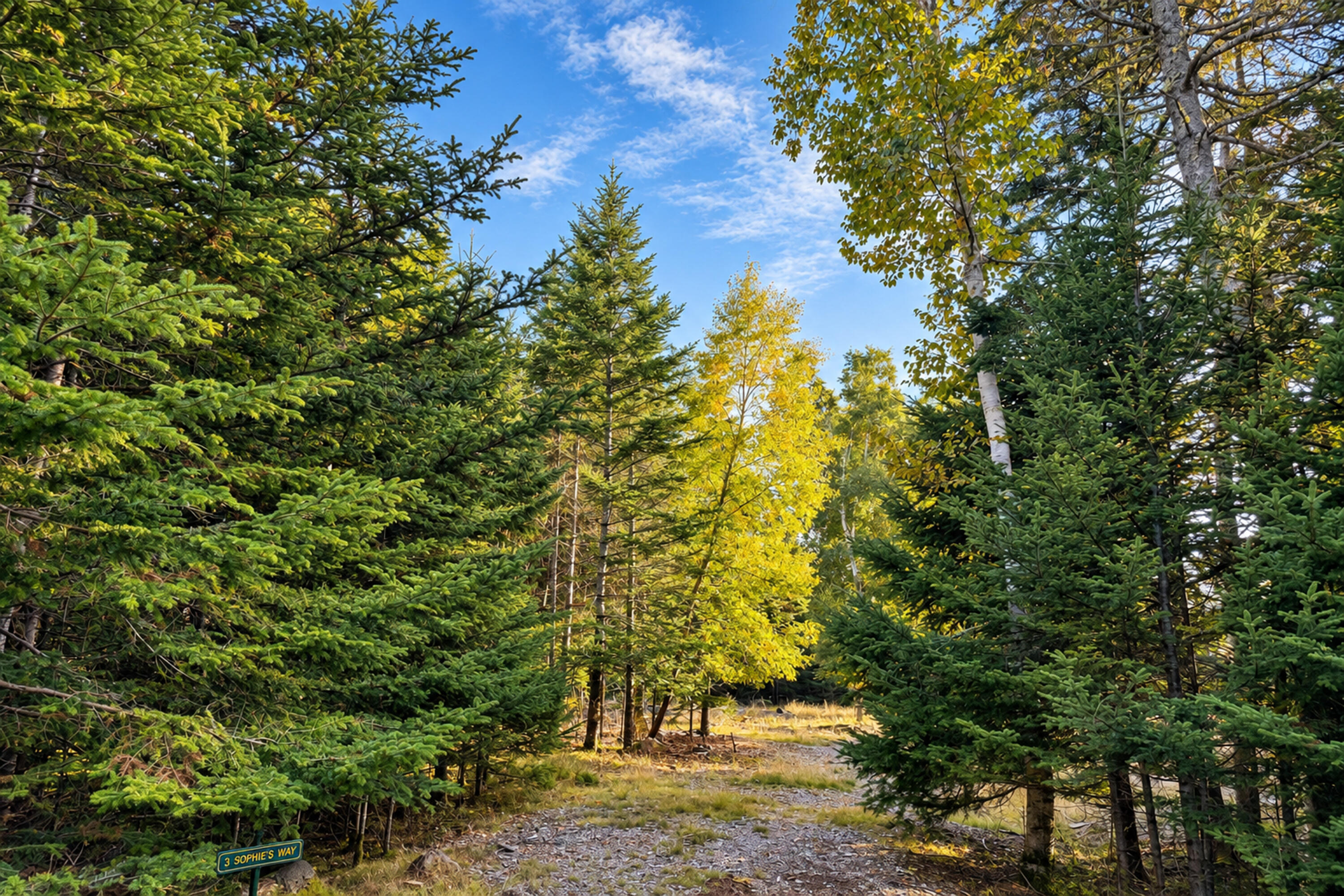 Lot 3 Sophies Way