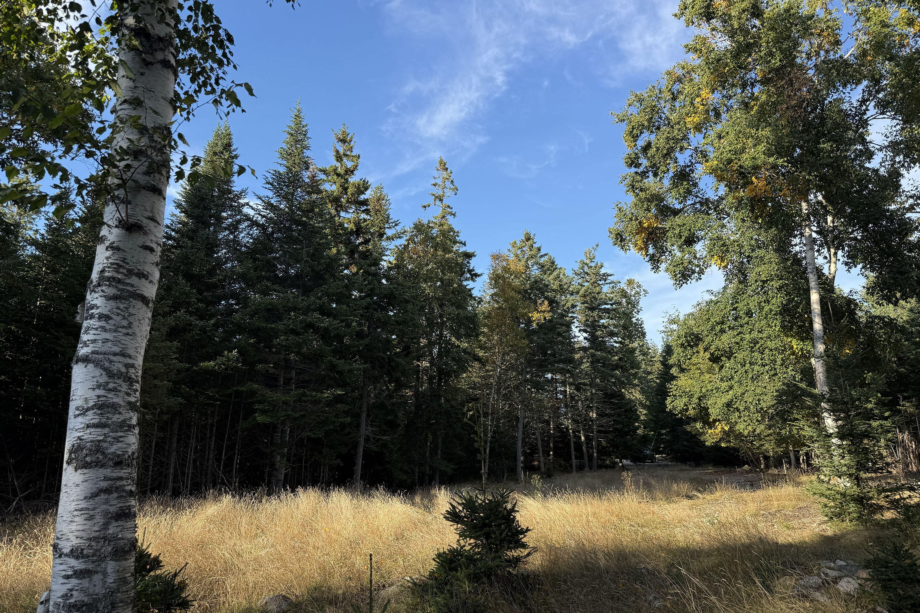 Lot 3 Sophies Way