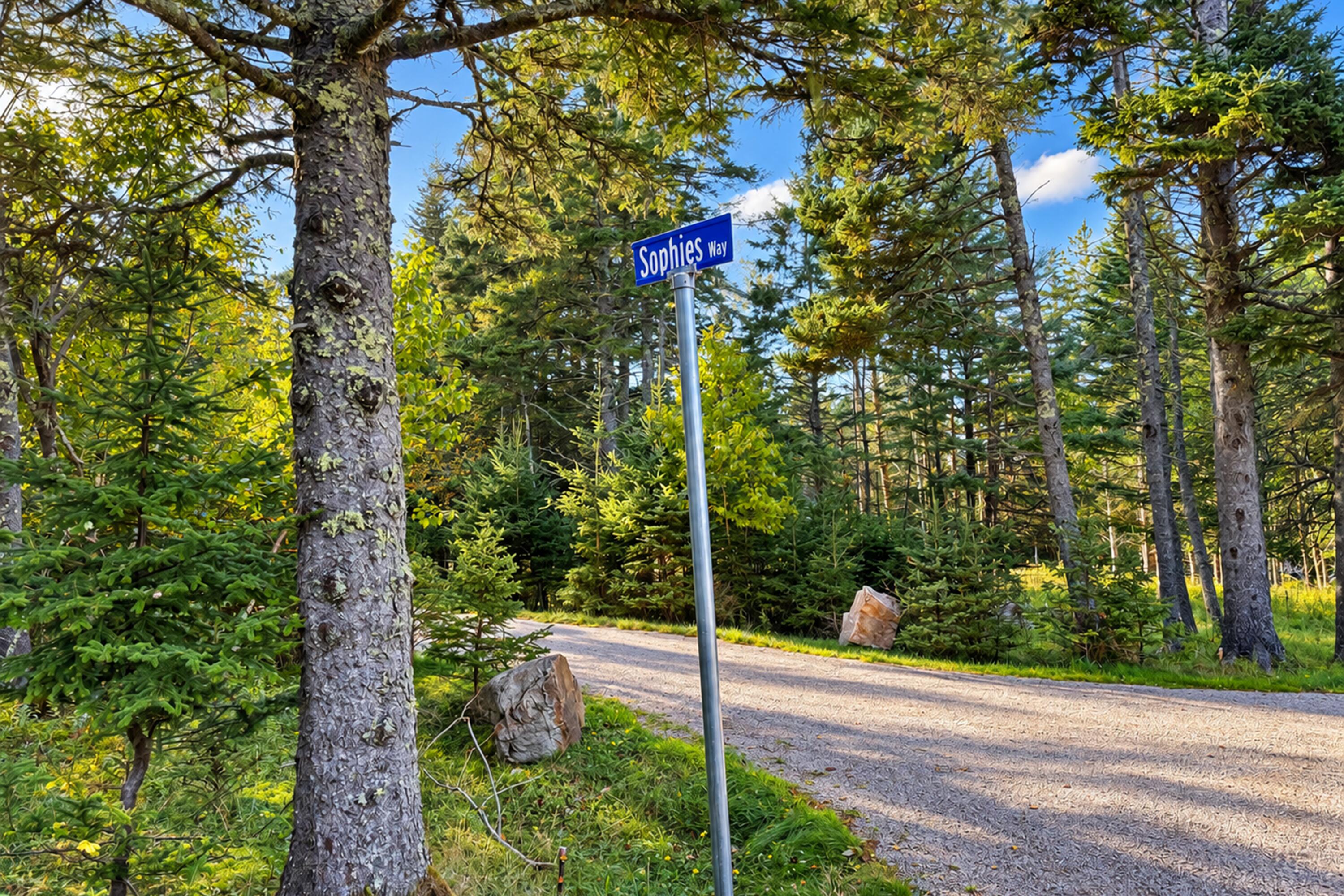 Lot 3 Sophies Way