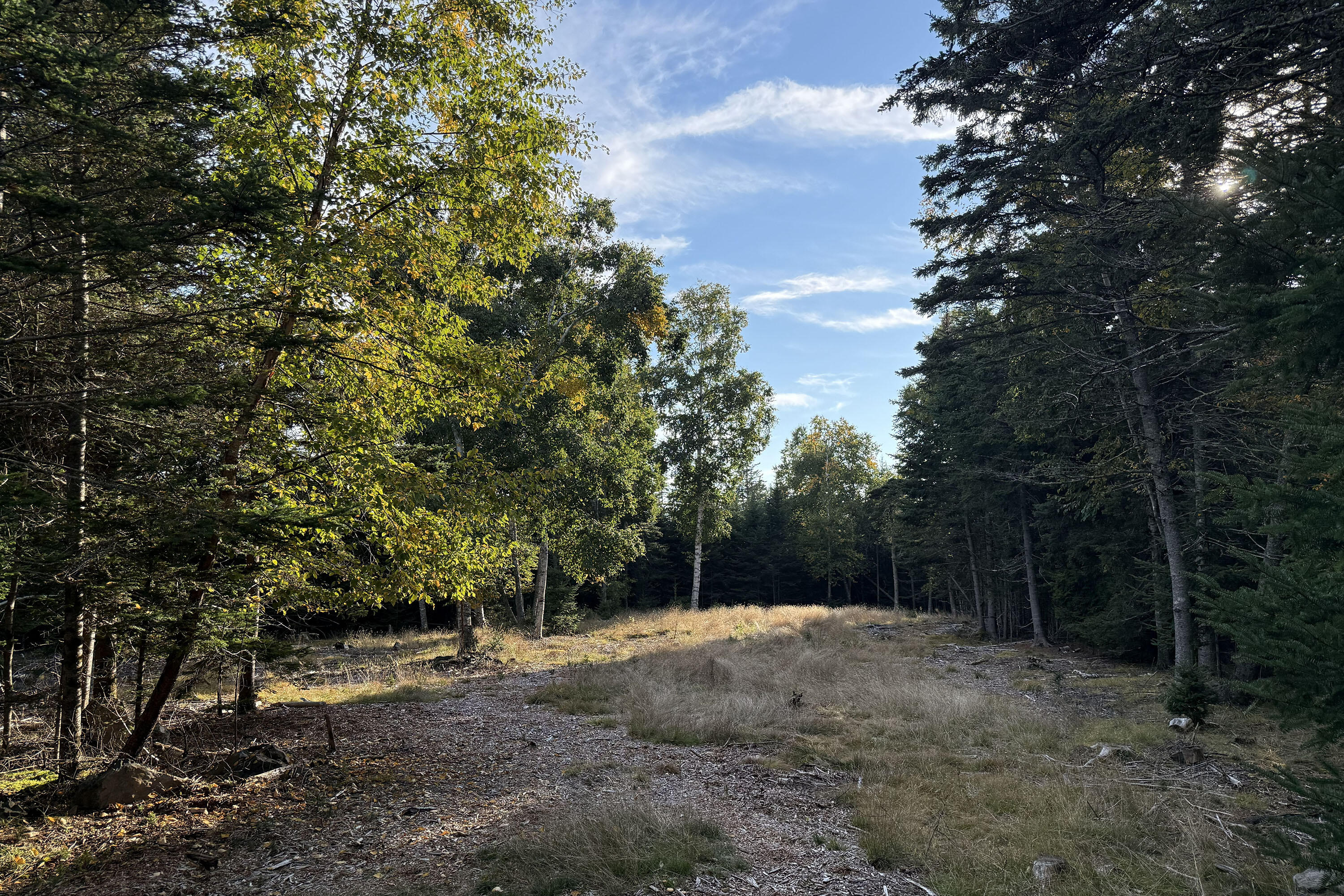 Lot 3 Sophies Way