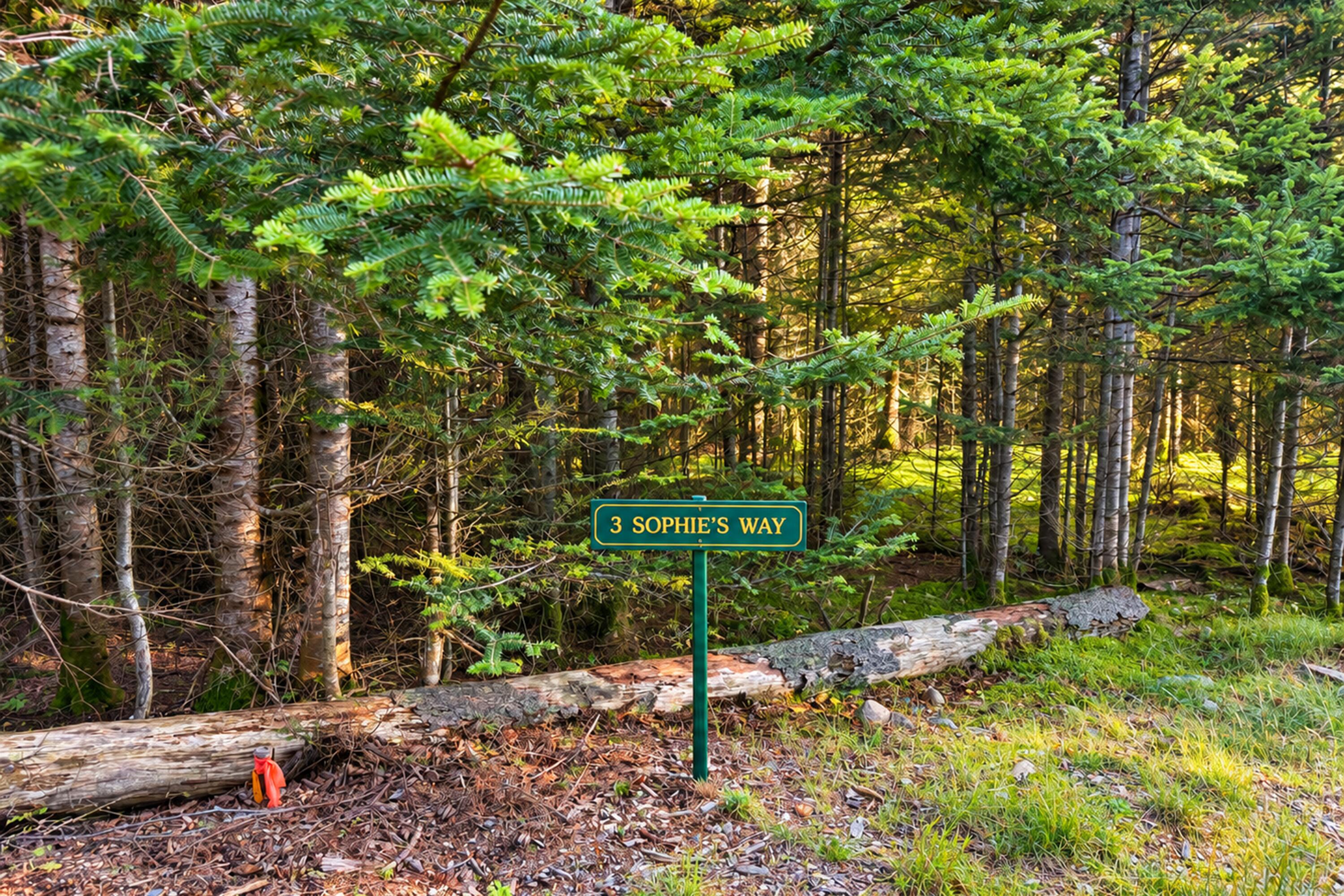 Lot 3 Sophies Way