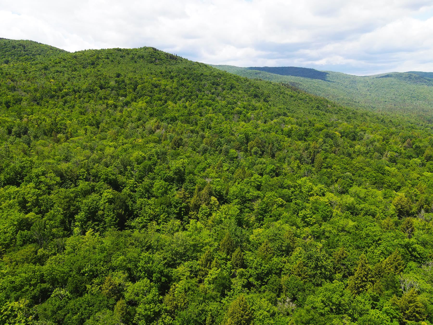 0 Hardy Country Road Unit: Map 5 Lot 158