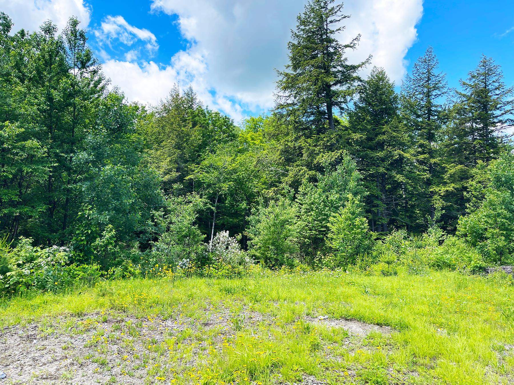 0 Hardy Country Road Unit: Map 5 Lot 158