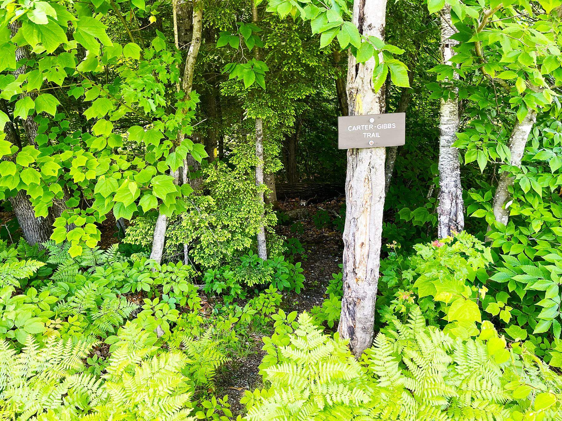 0 Hardy Country Road Unit: Map 5 Lot 158