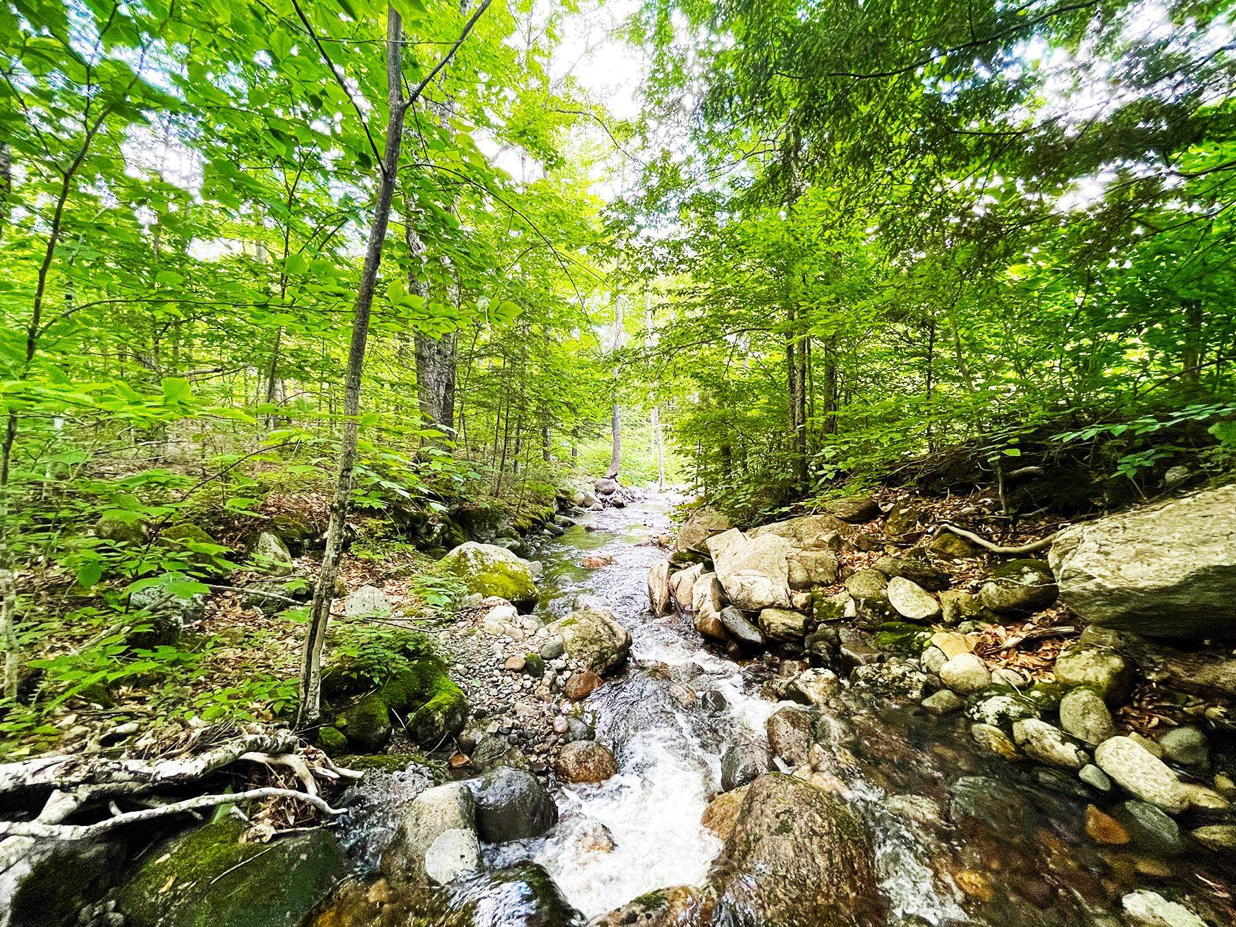 0 Hardy Country Road Unit: Map 5 Lot 158