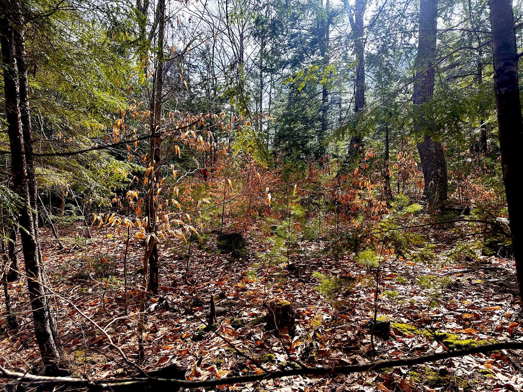 0 Winaukee Road