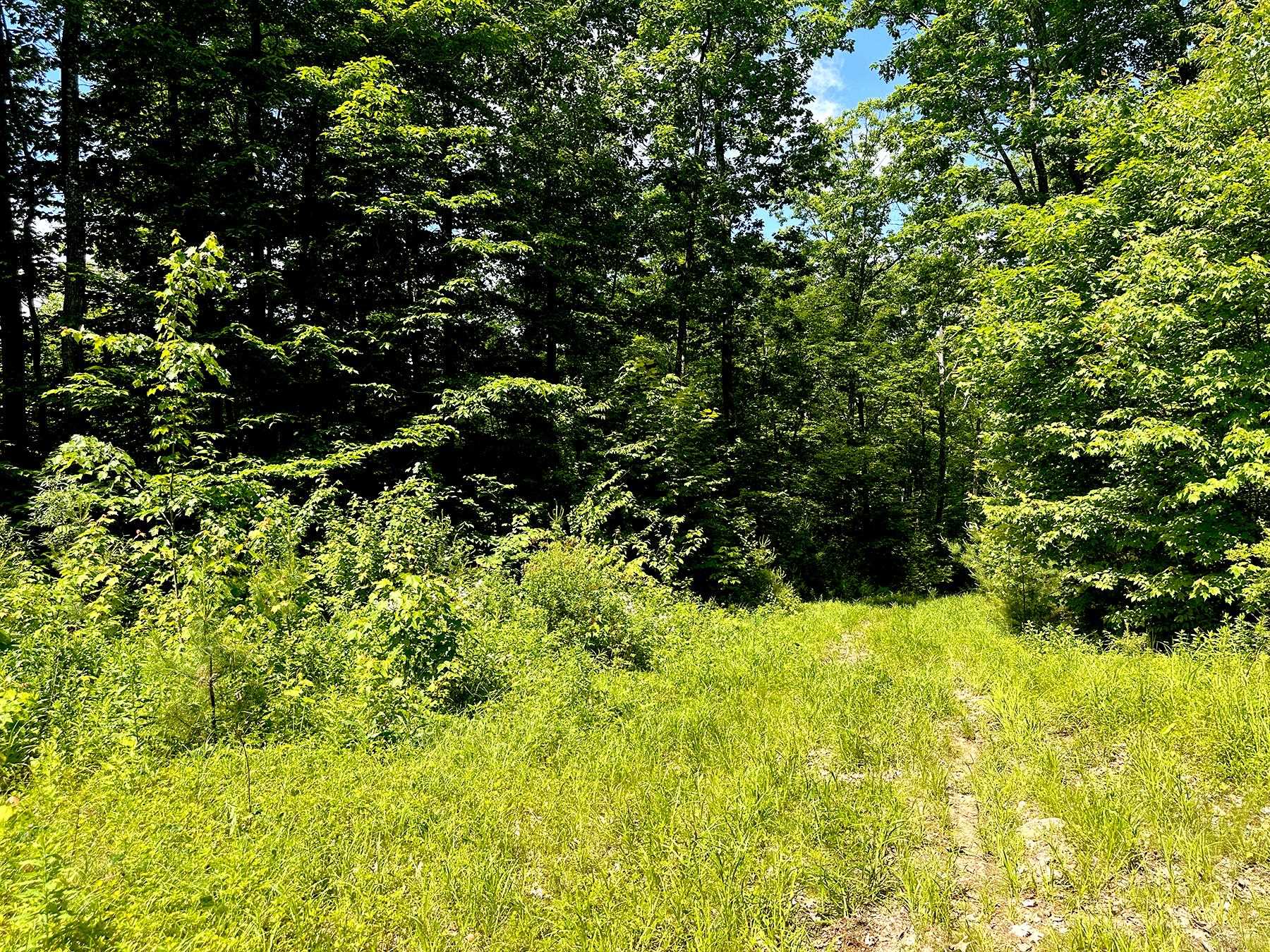 00 Kearsarge Mountain Road
