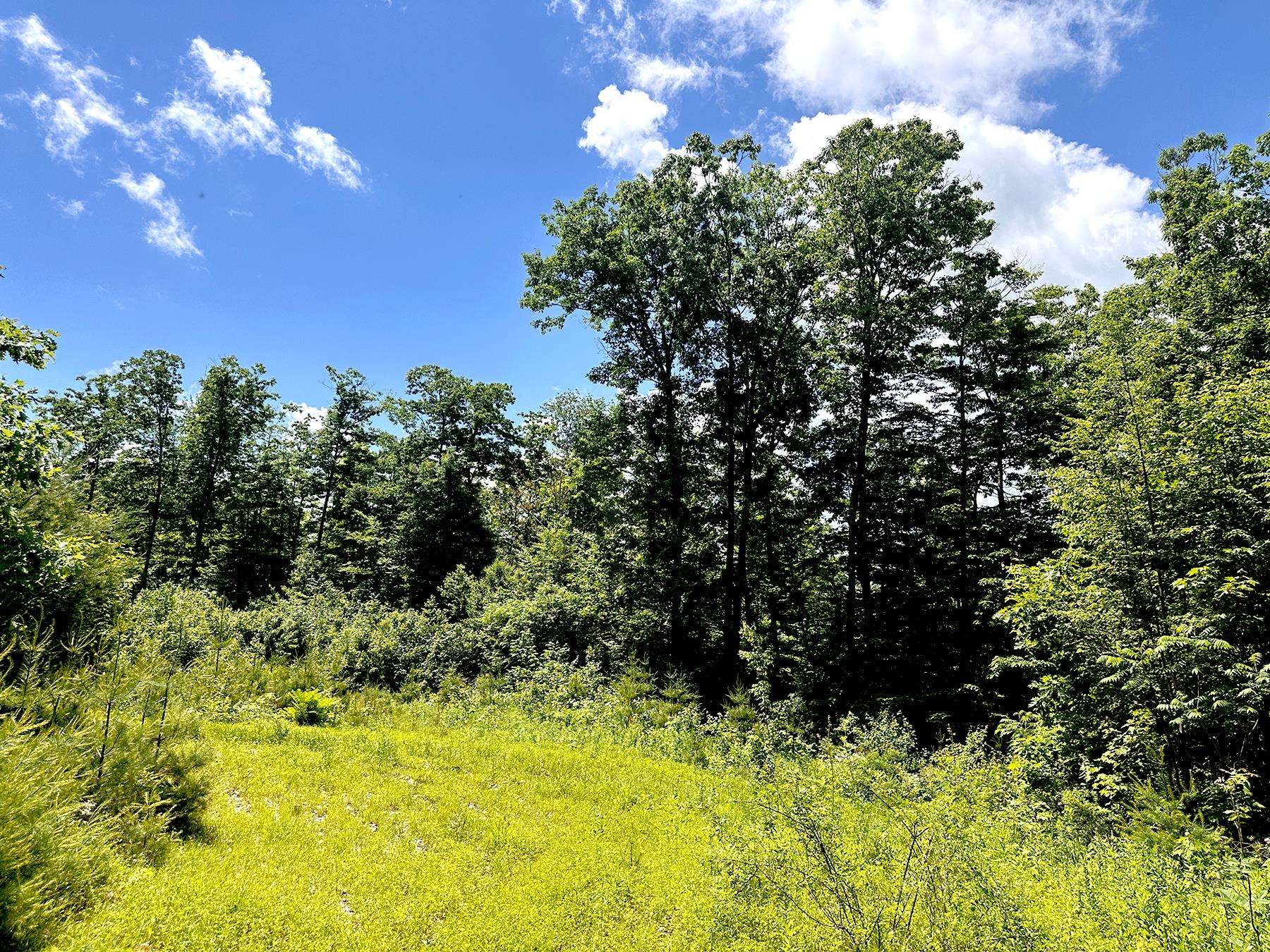 00 Kearsarge Mountain Road