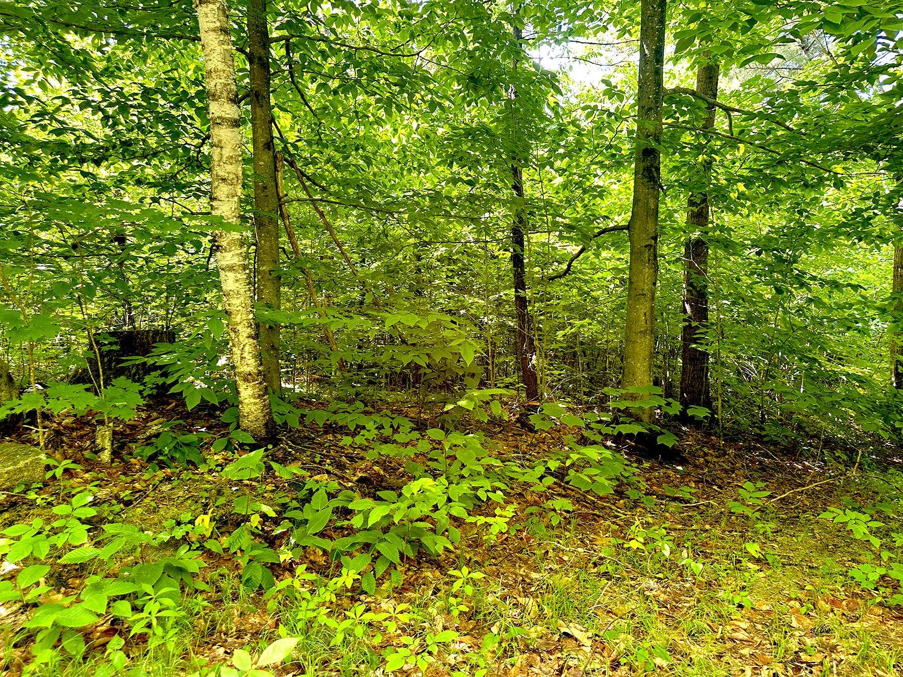 00 Kearsarge Mountain Road