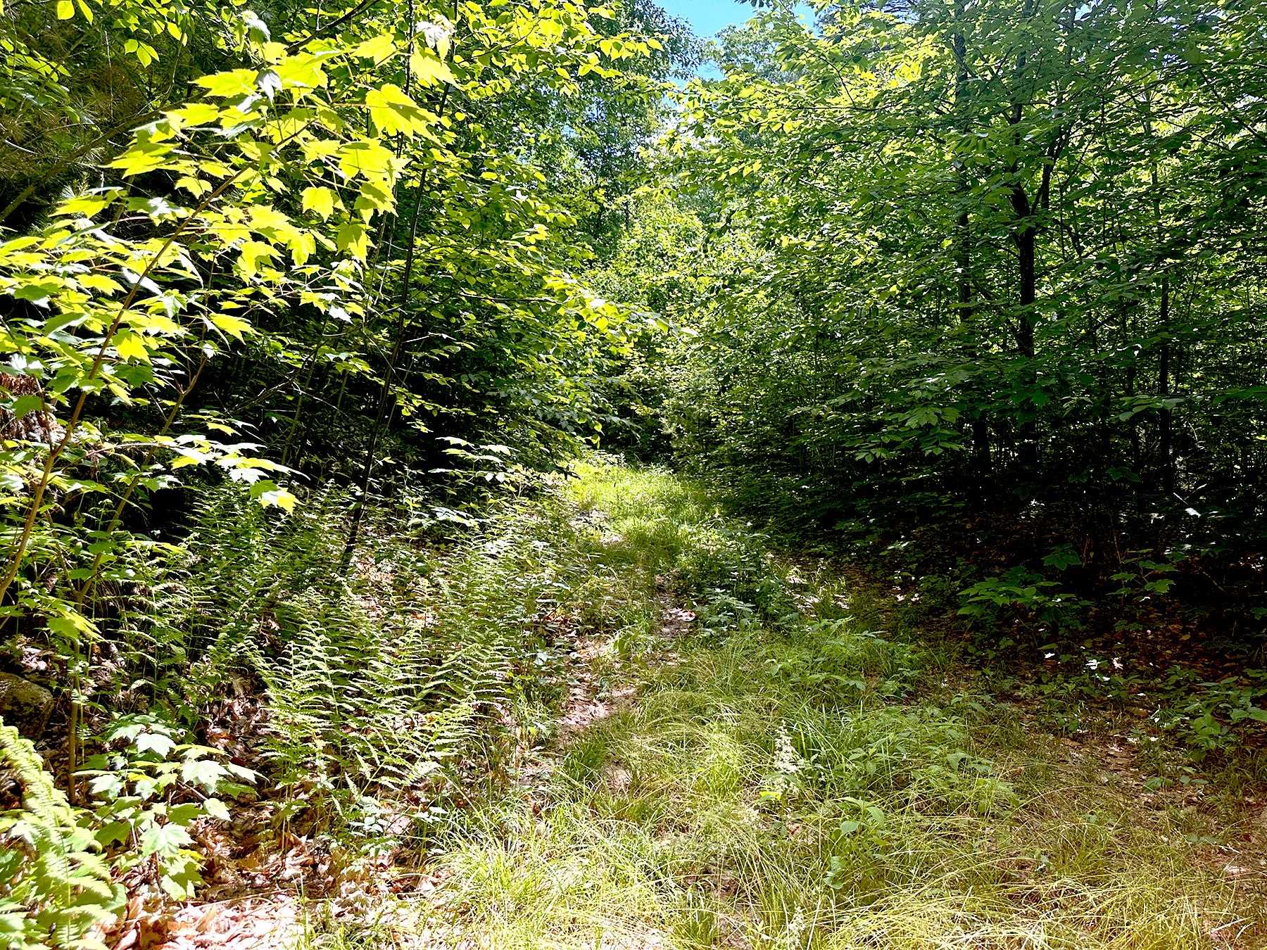 00 Kearsarge Mountain Road