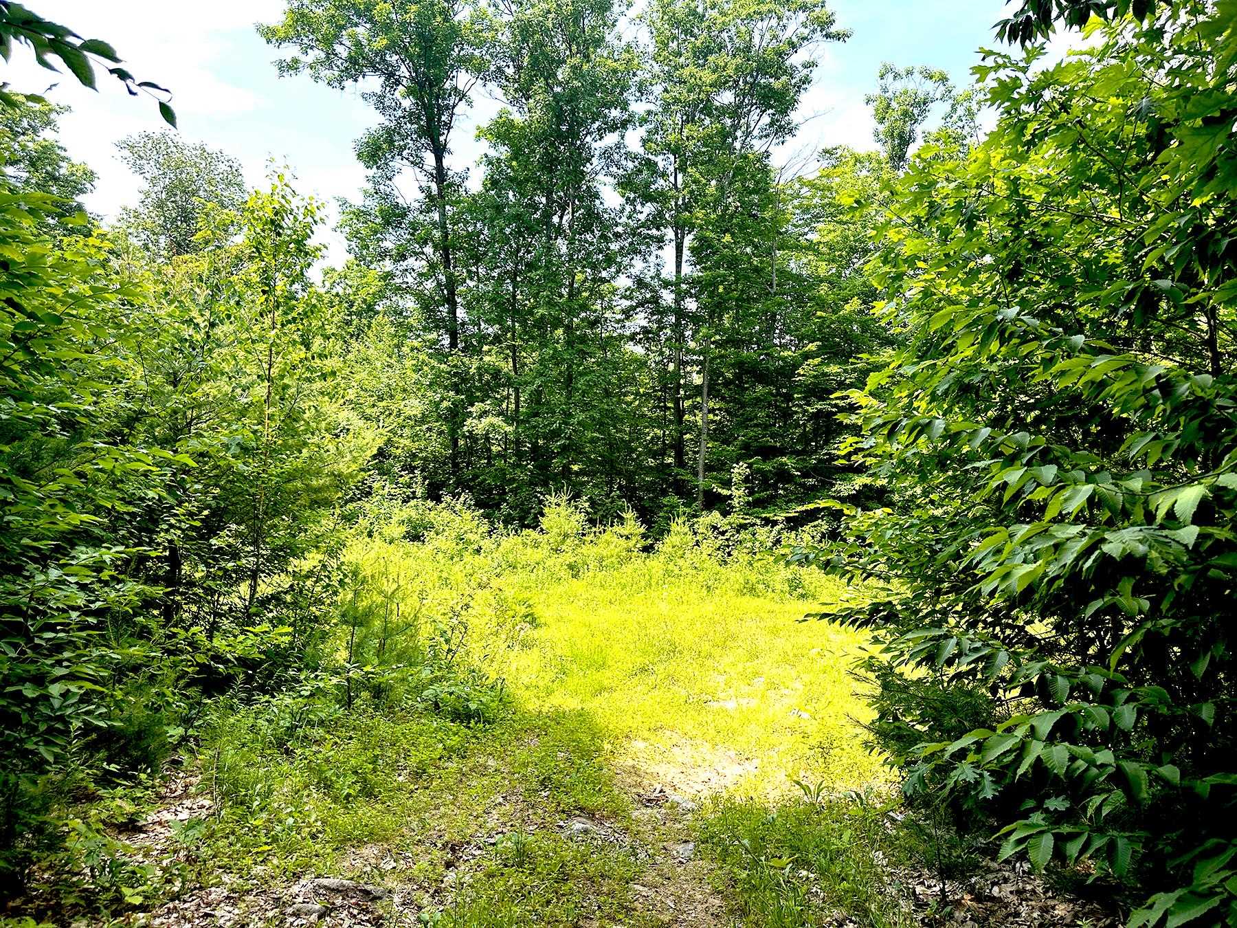 00 Kearsarge Mountain Road