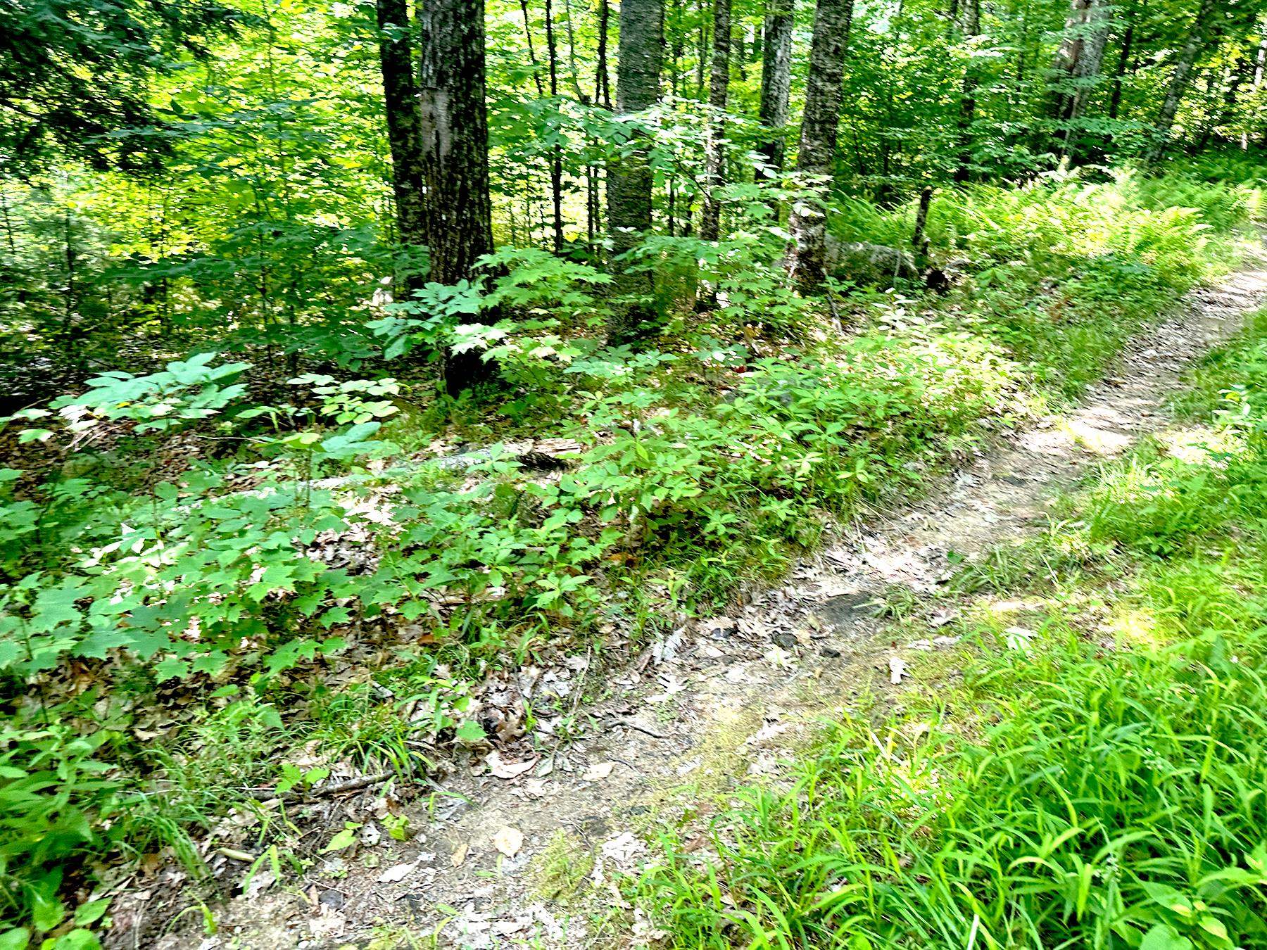 00 Kearsarge Mountain Road