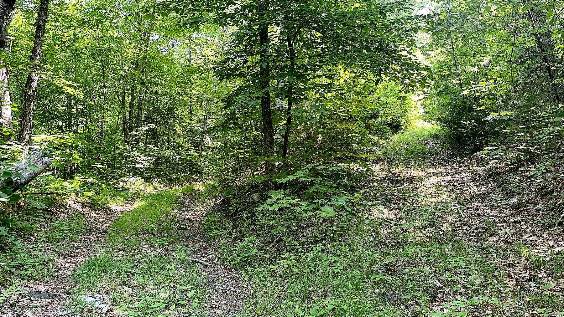 00 Kearsarge Mountain Road