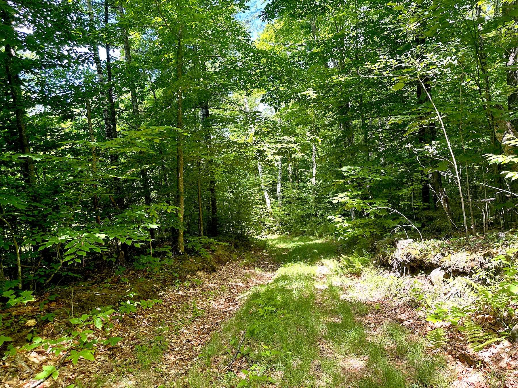 00 Kearsarge Mountain Road