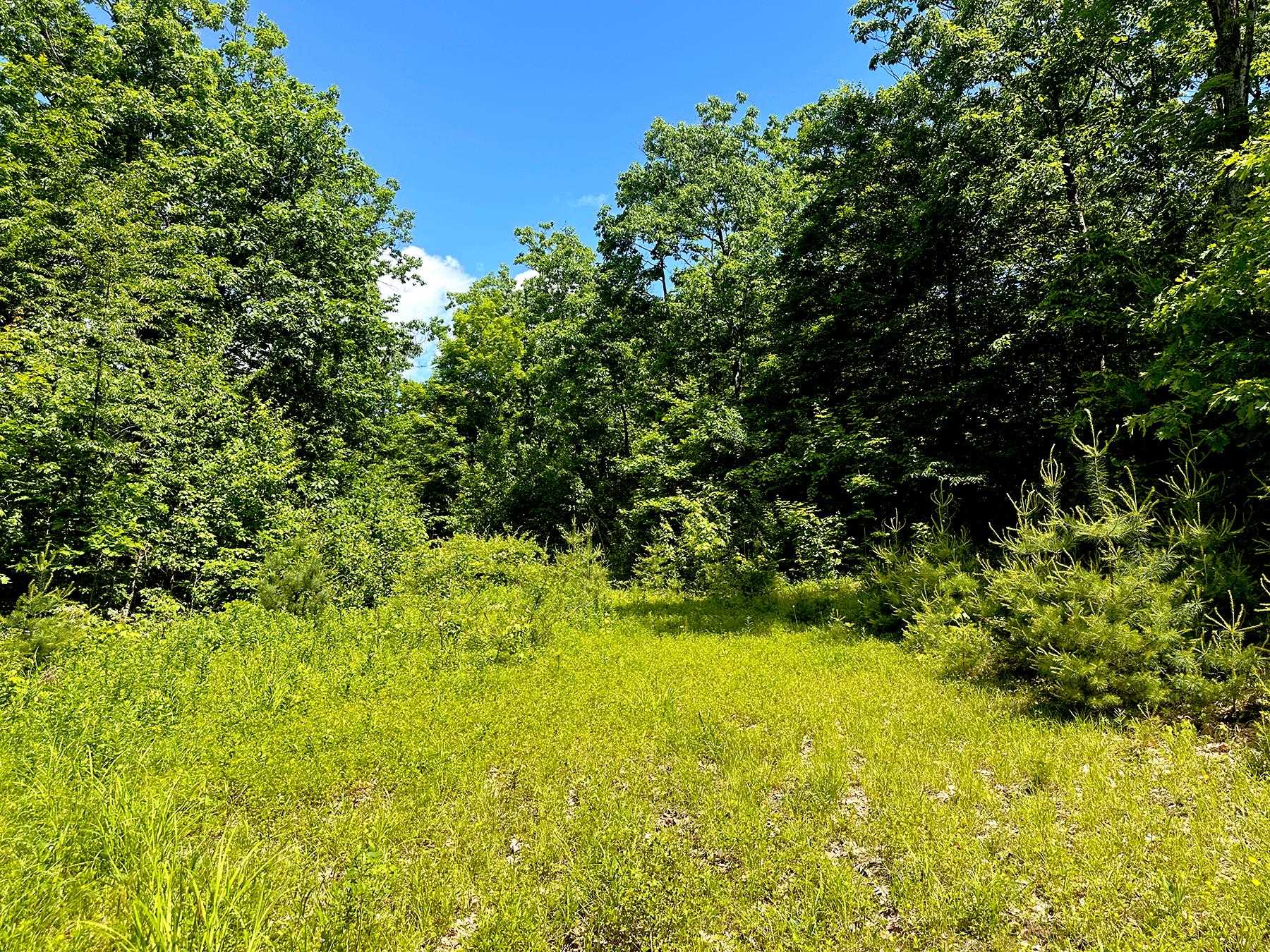 00 Kearsarge Mountain Road
