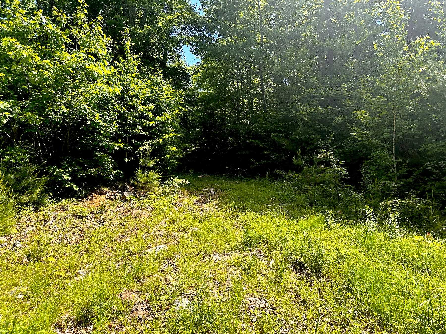 00 Kearsarge Mountain Road