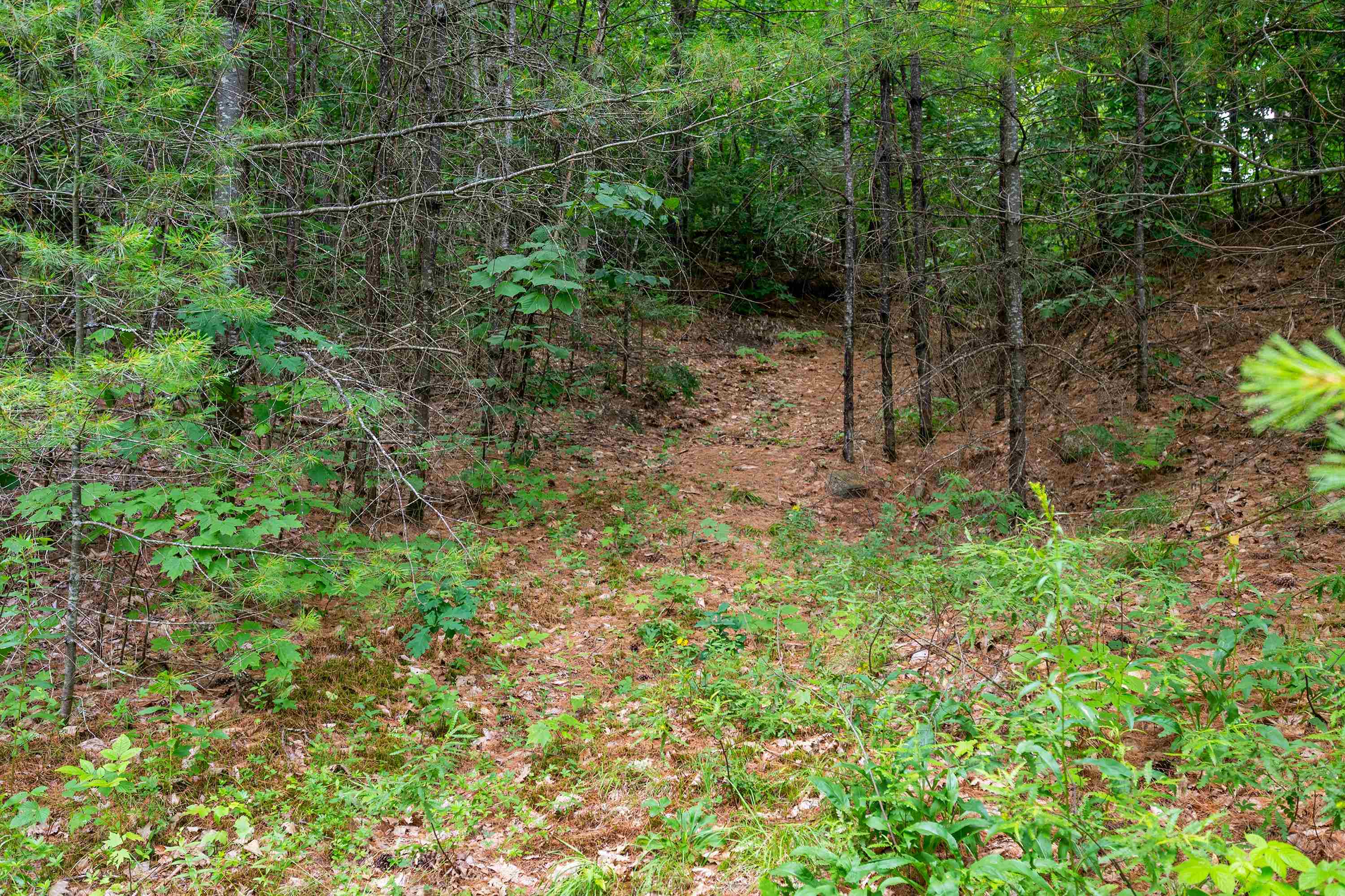 00 Hill Road