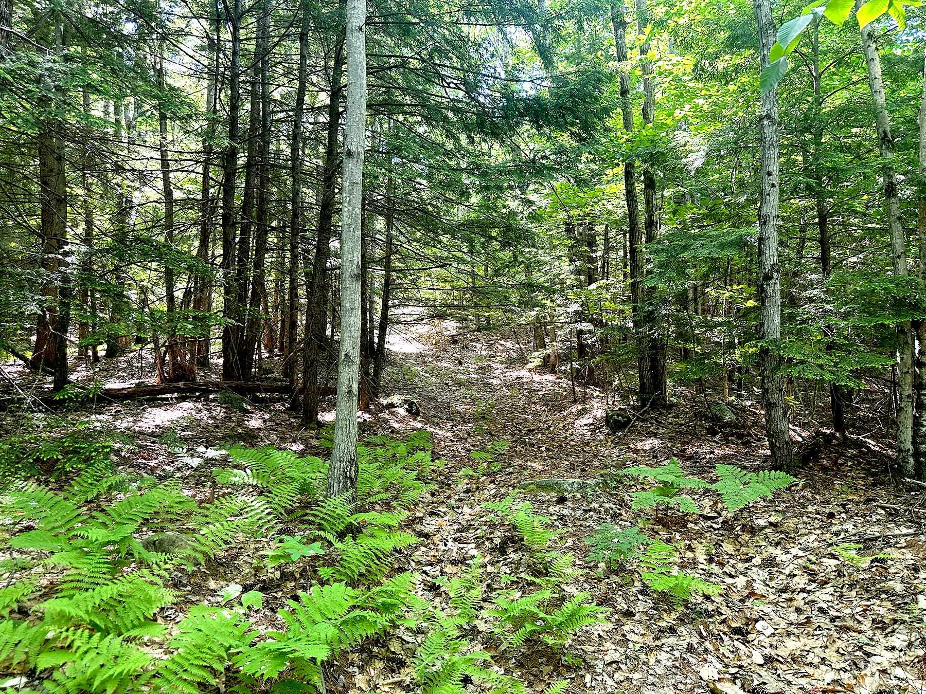 00 Hill Road