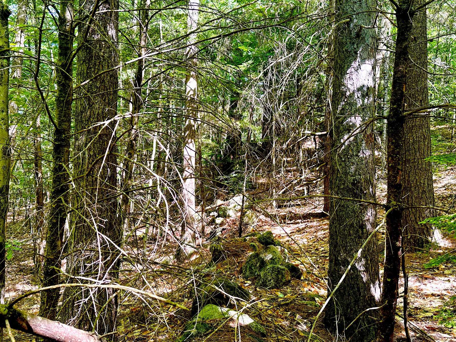 00 Hill Road