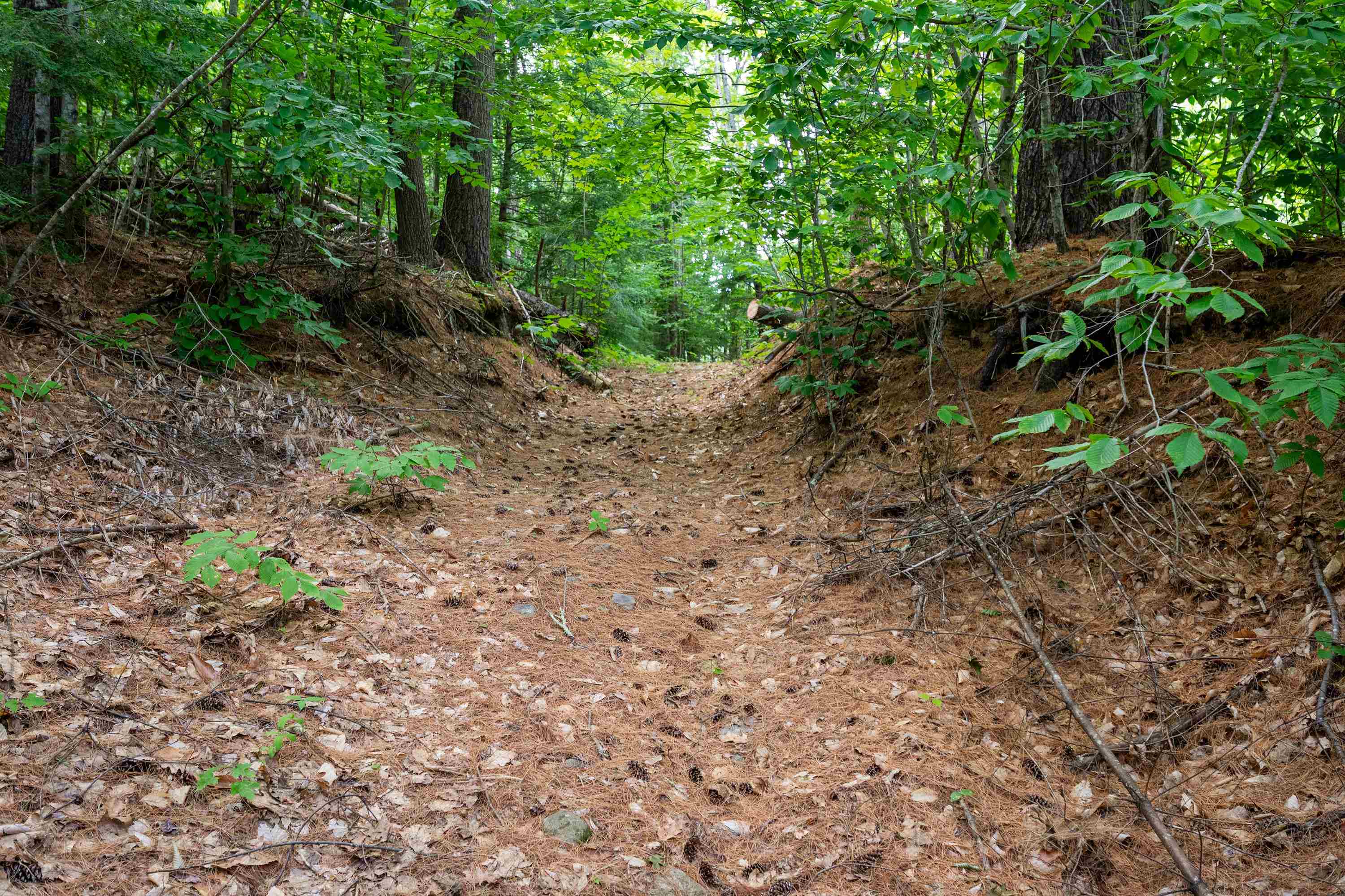 00 Hill Road