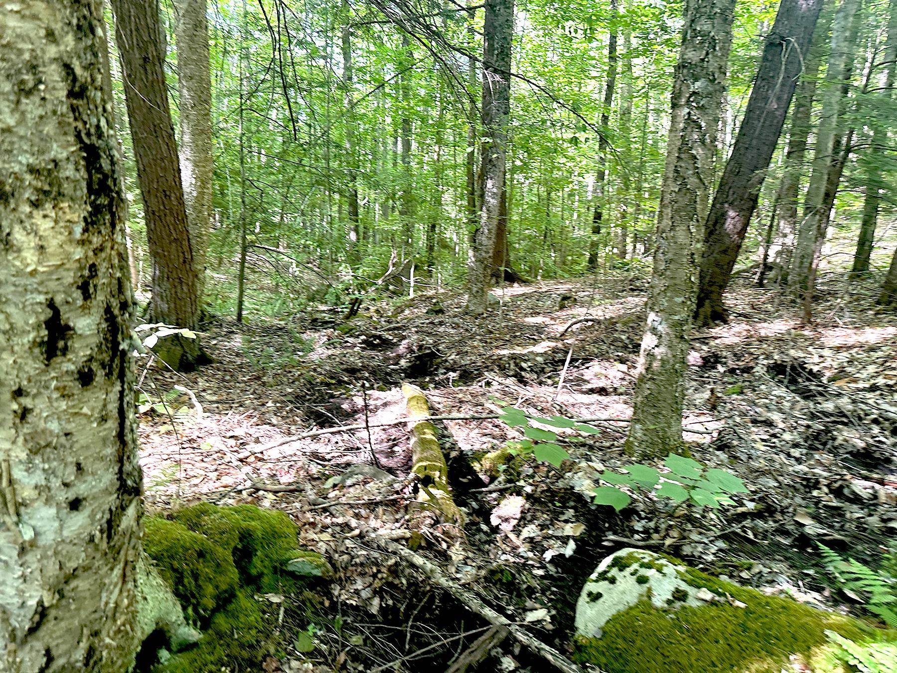 00 Hill Road