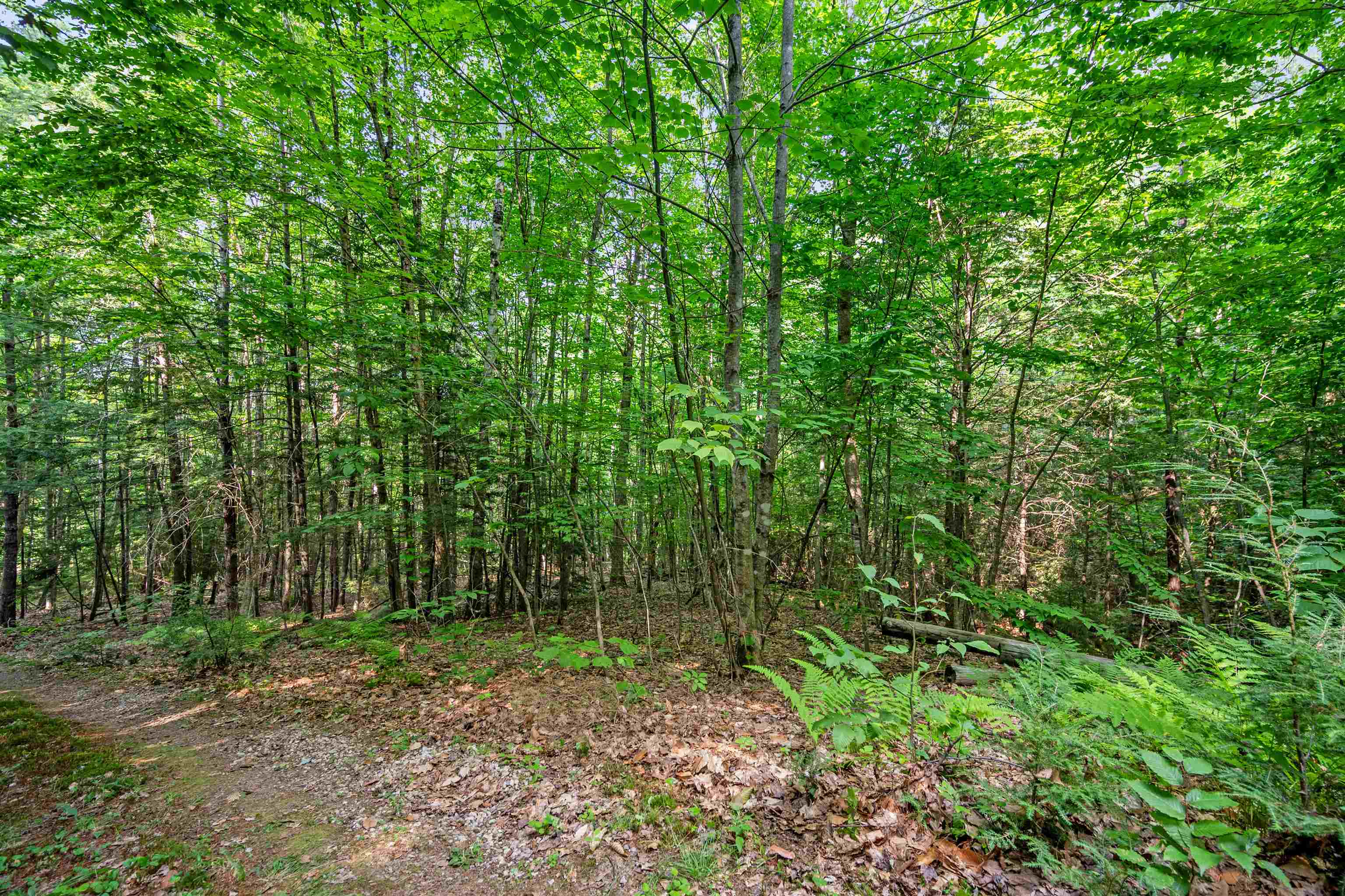 1099 Mt Cardigan Road