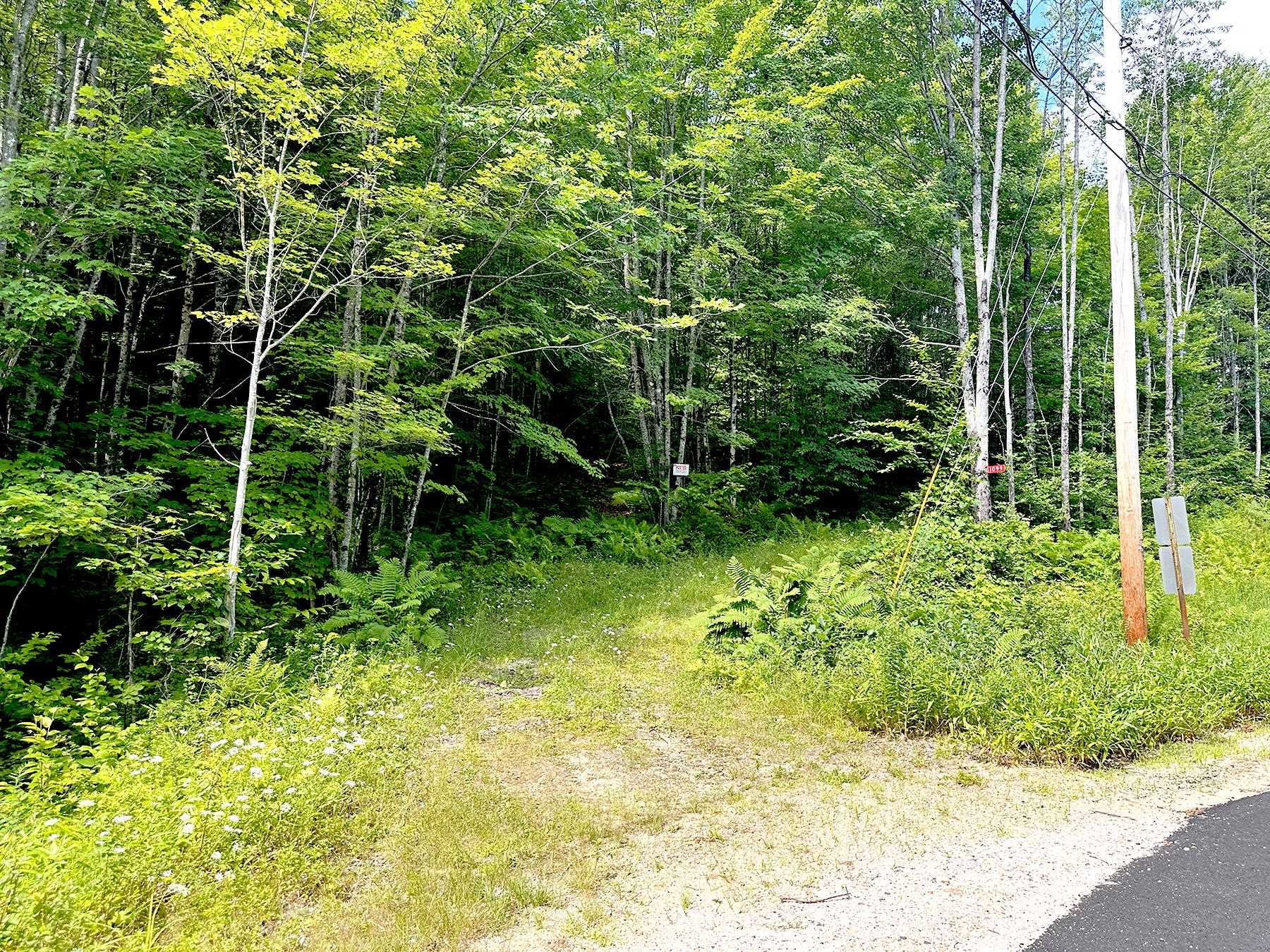 1099 Mt Cardigan Road