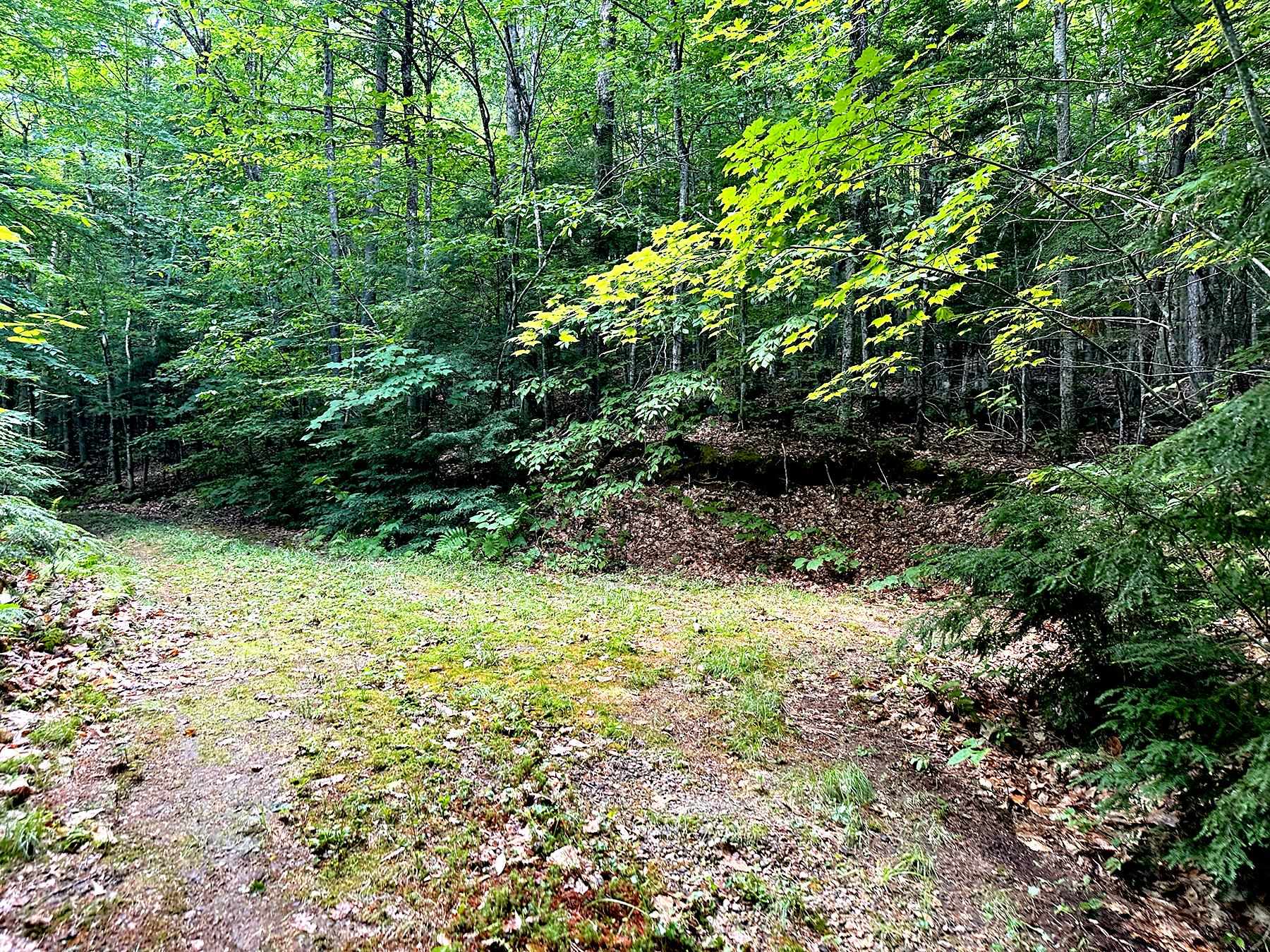 1099 Mt Cardigan Road