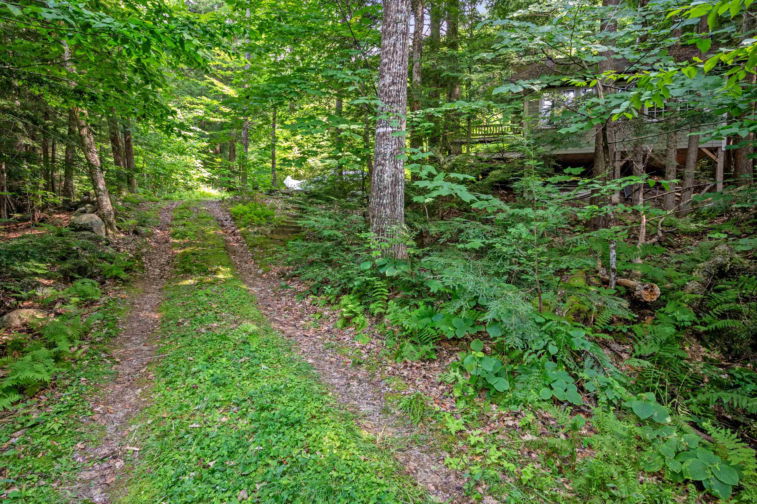 1099 Mt Cardigan Road