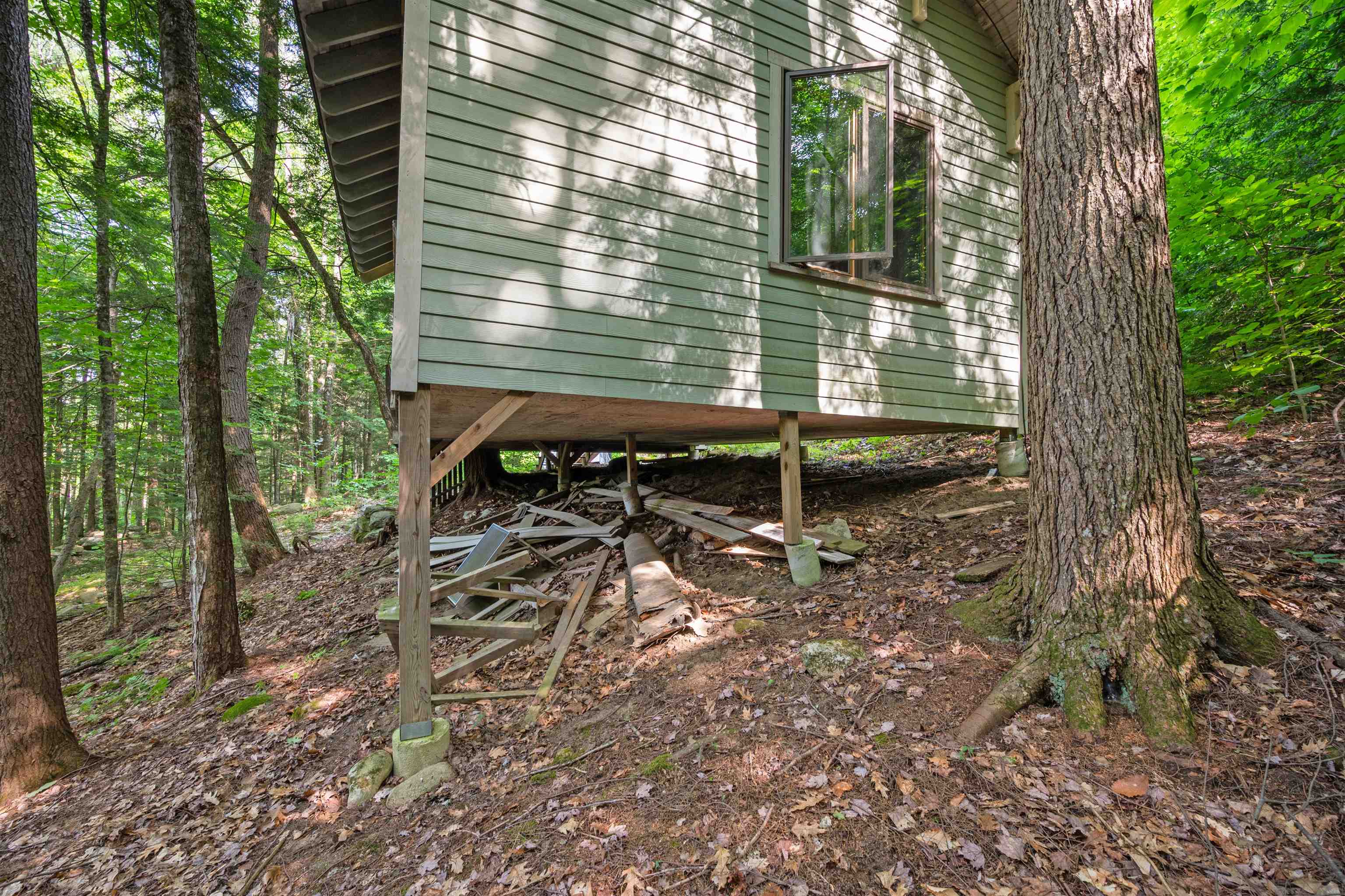 1099 Mt Cardigan Road