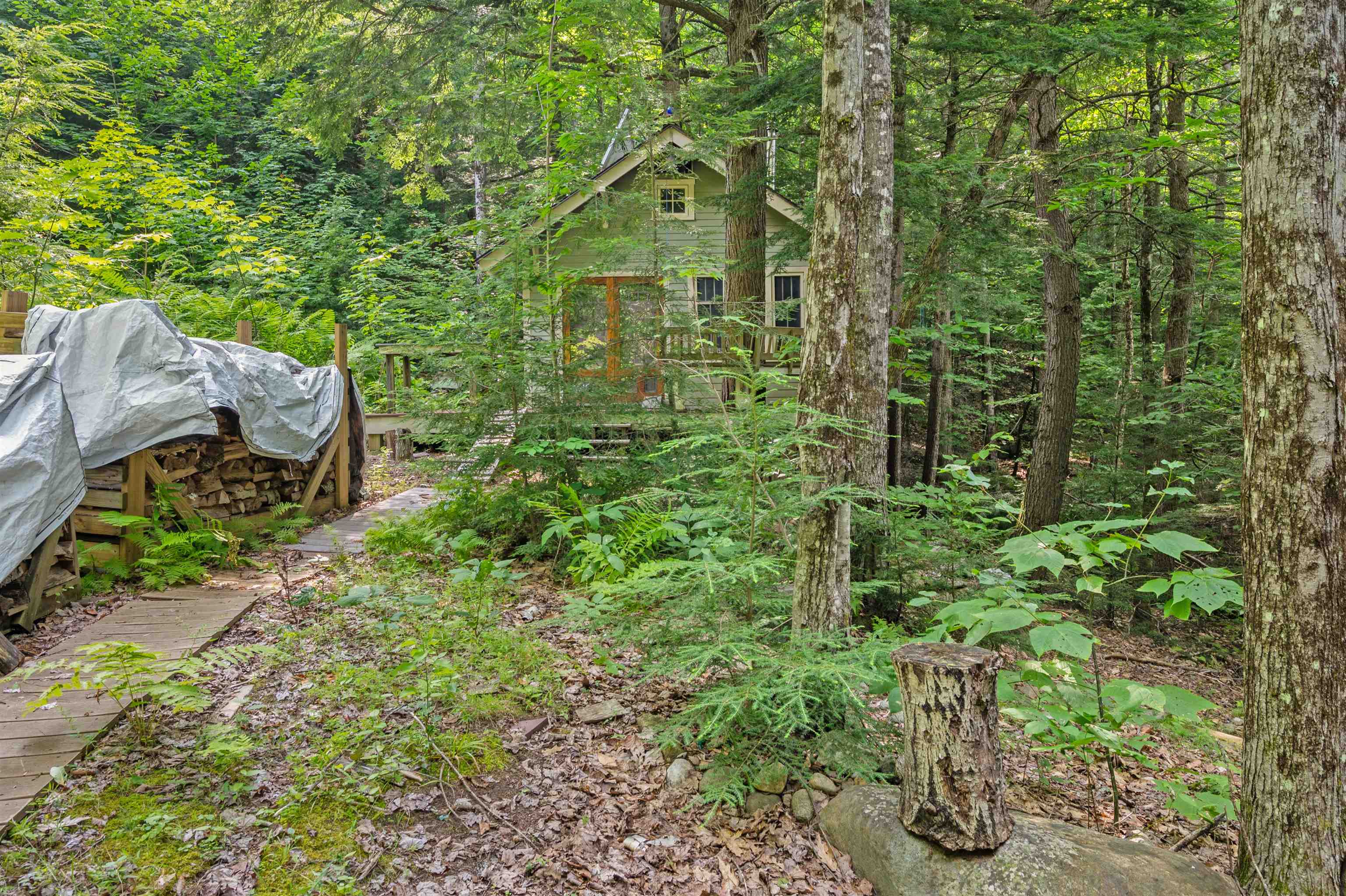 1099 Mt Cardigan Road