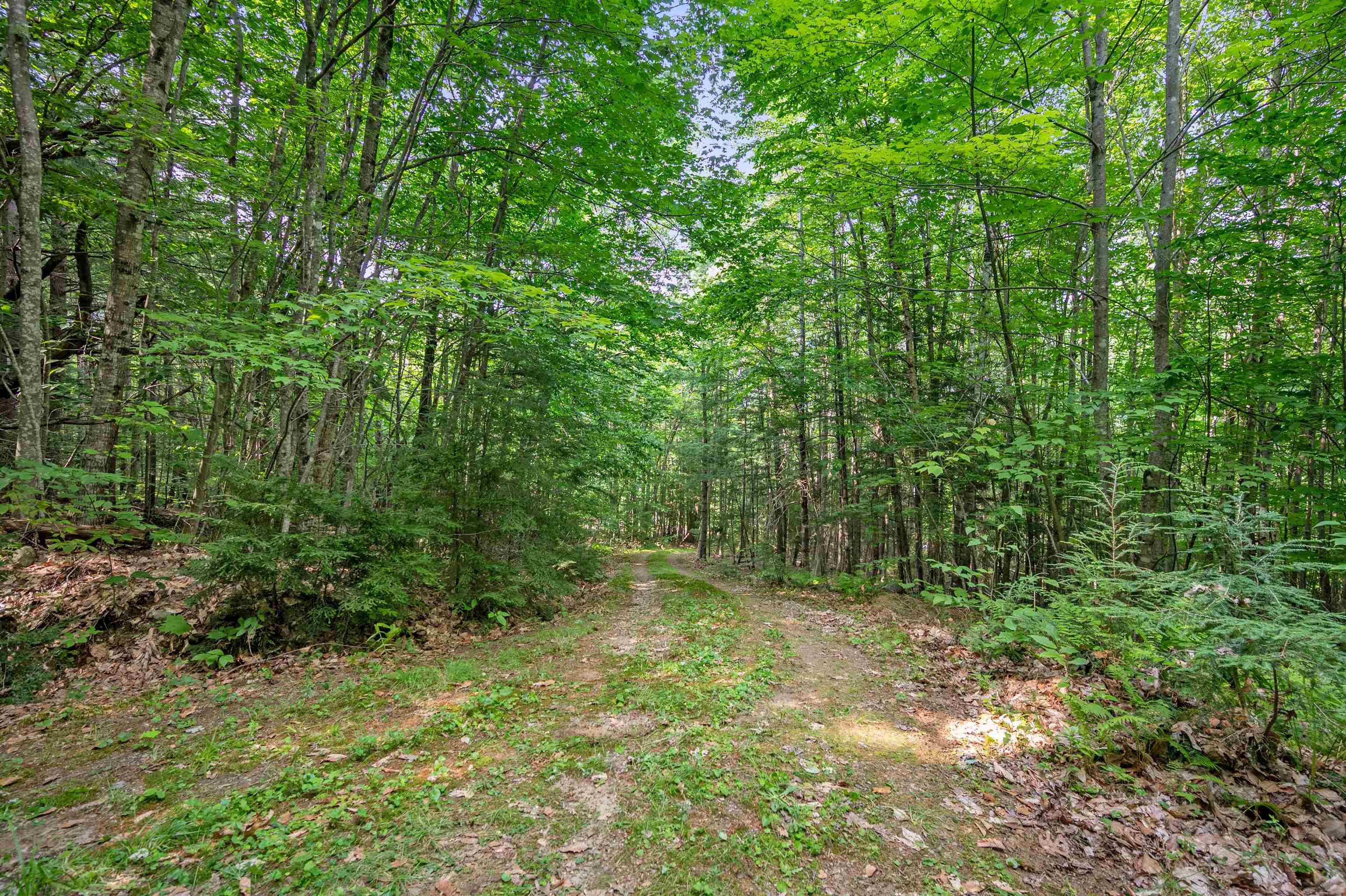 1099 Mt Cardigan Road