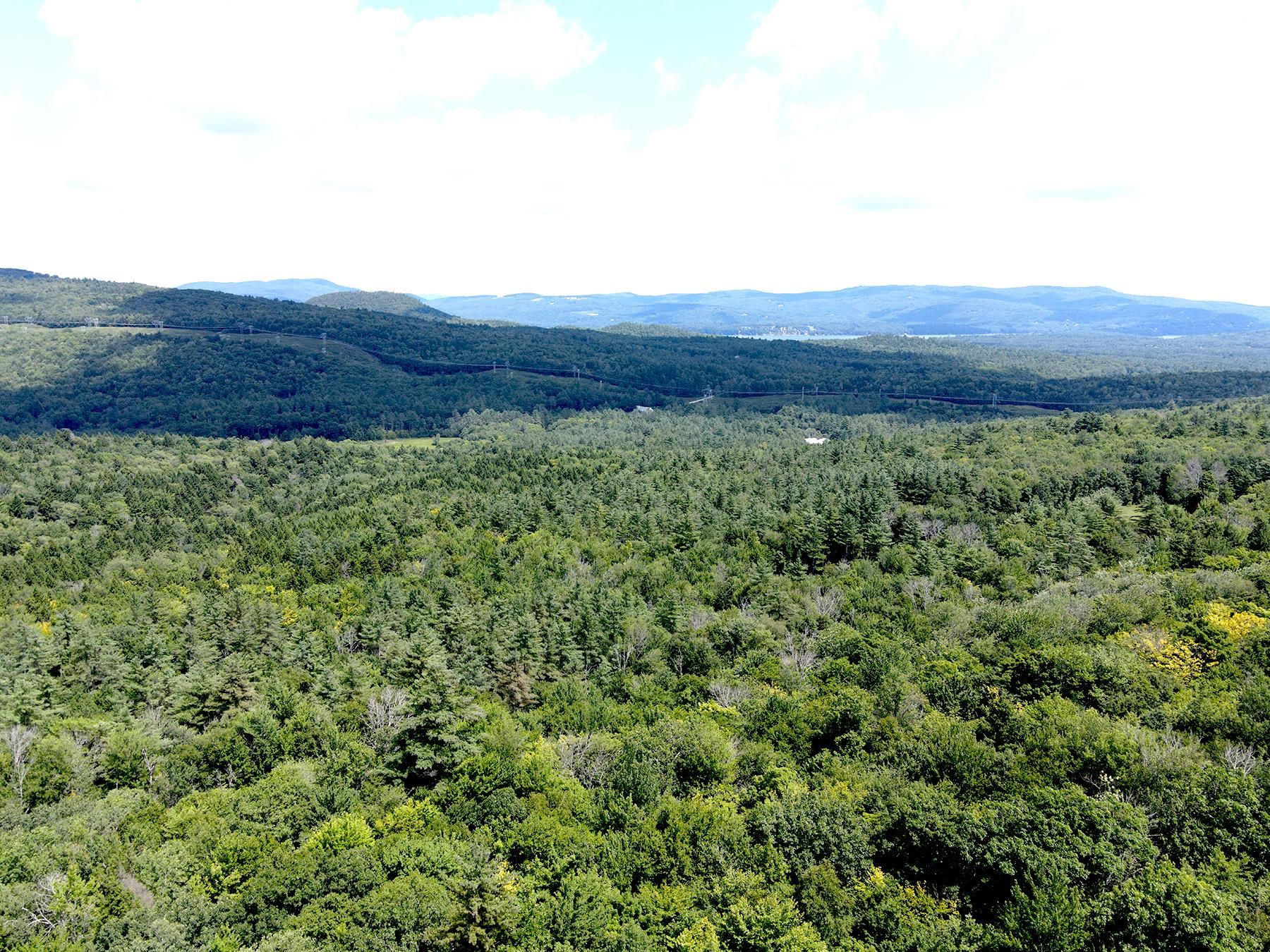 1099 Mt Cardigan Road
