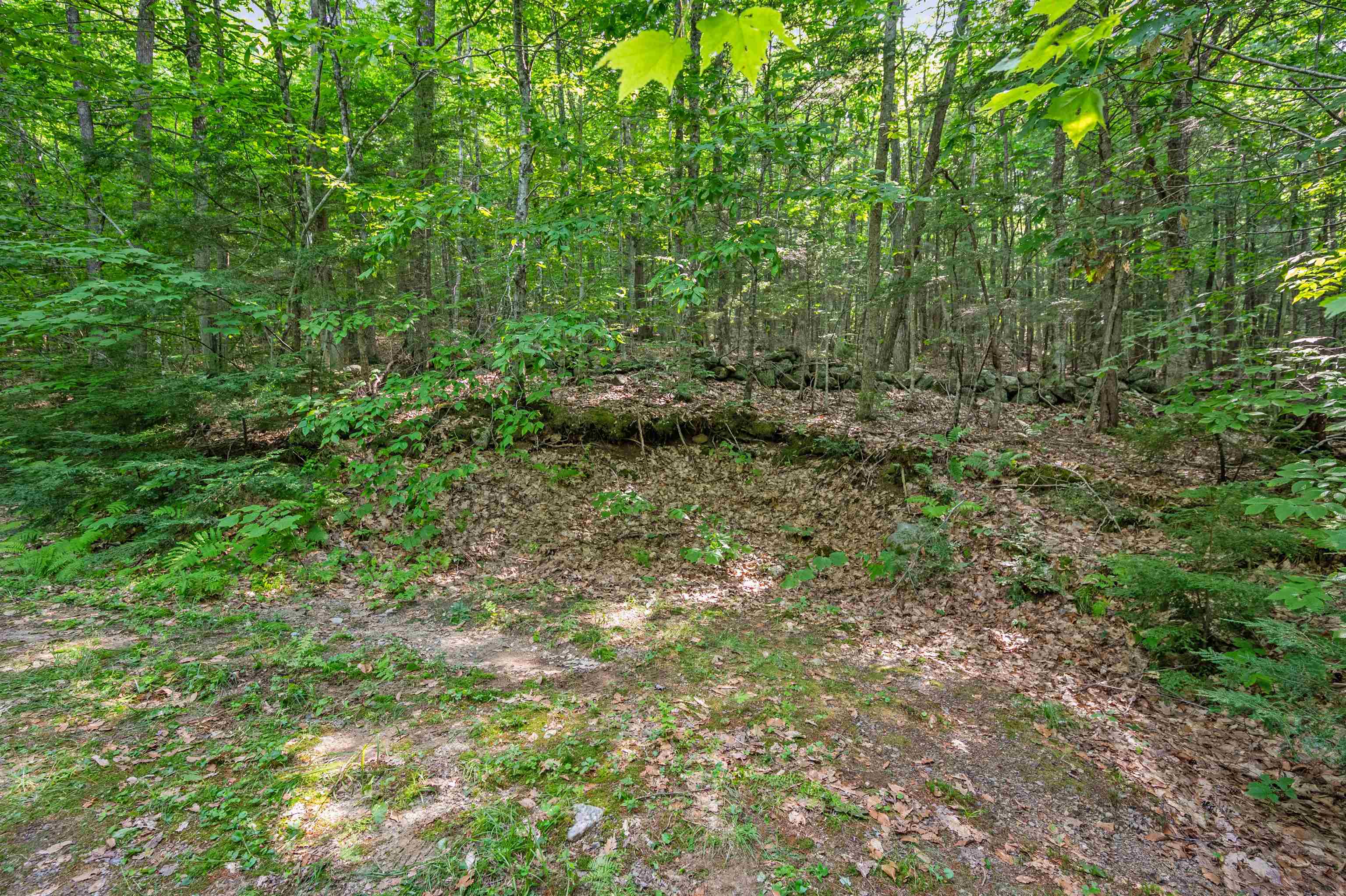 1099 Mt Cardigan Road