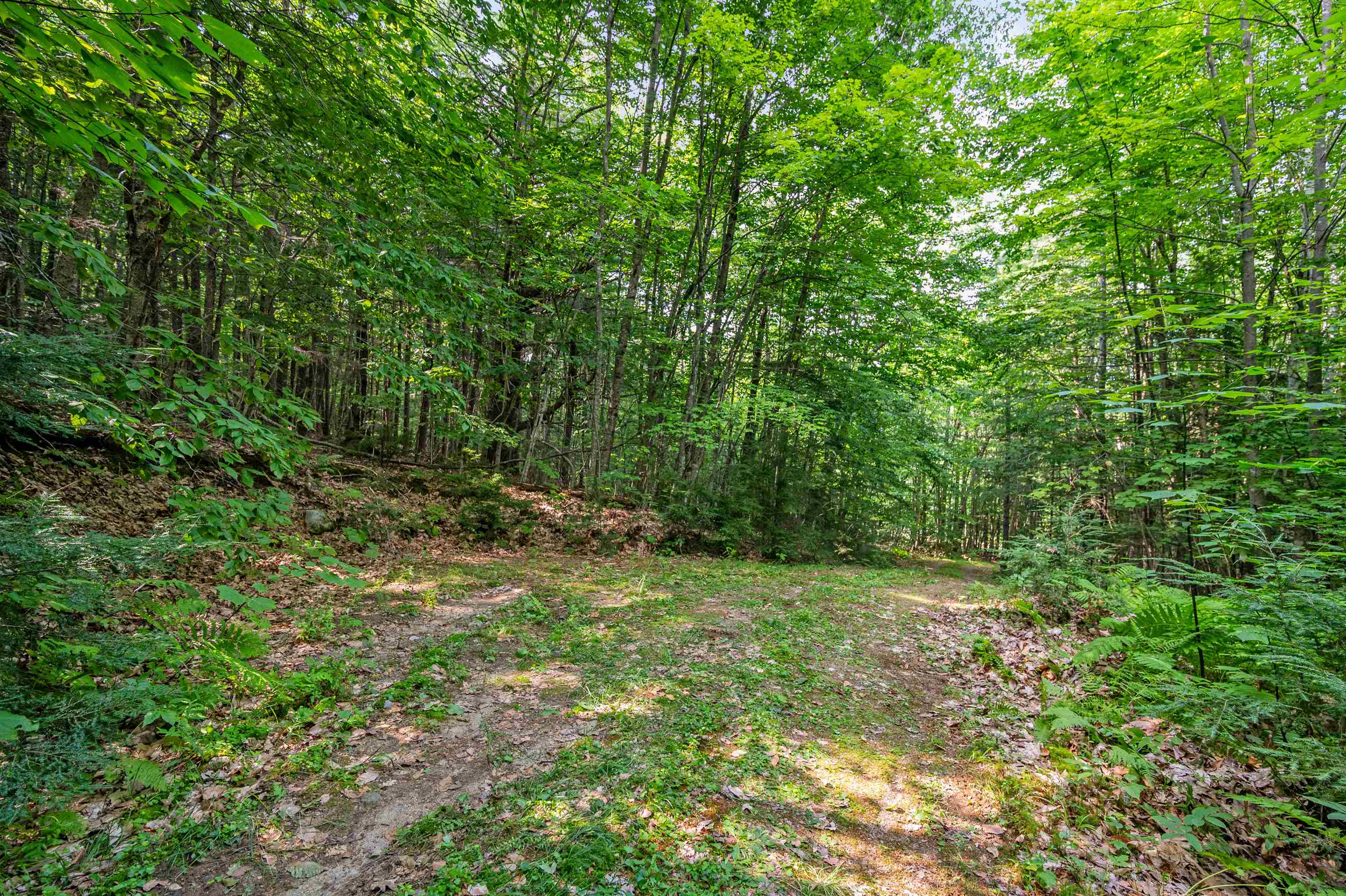1099 Mt Cardigan Road