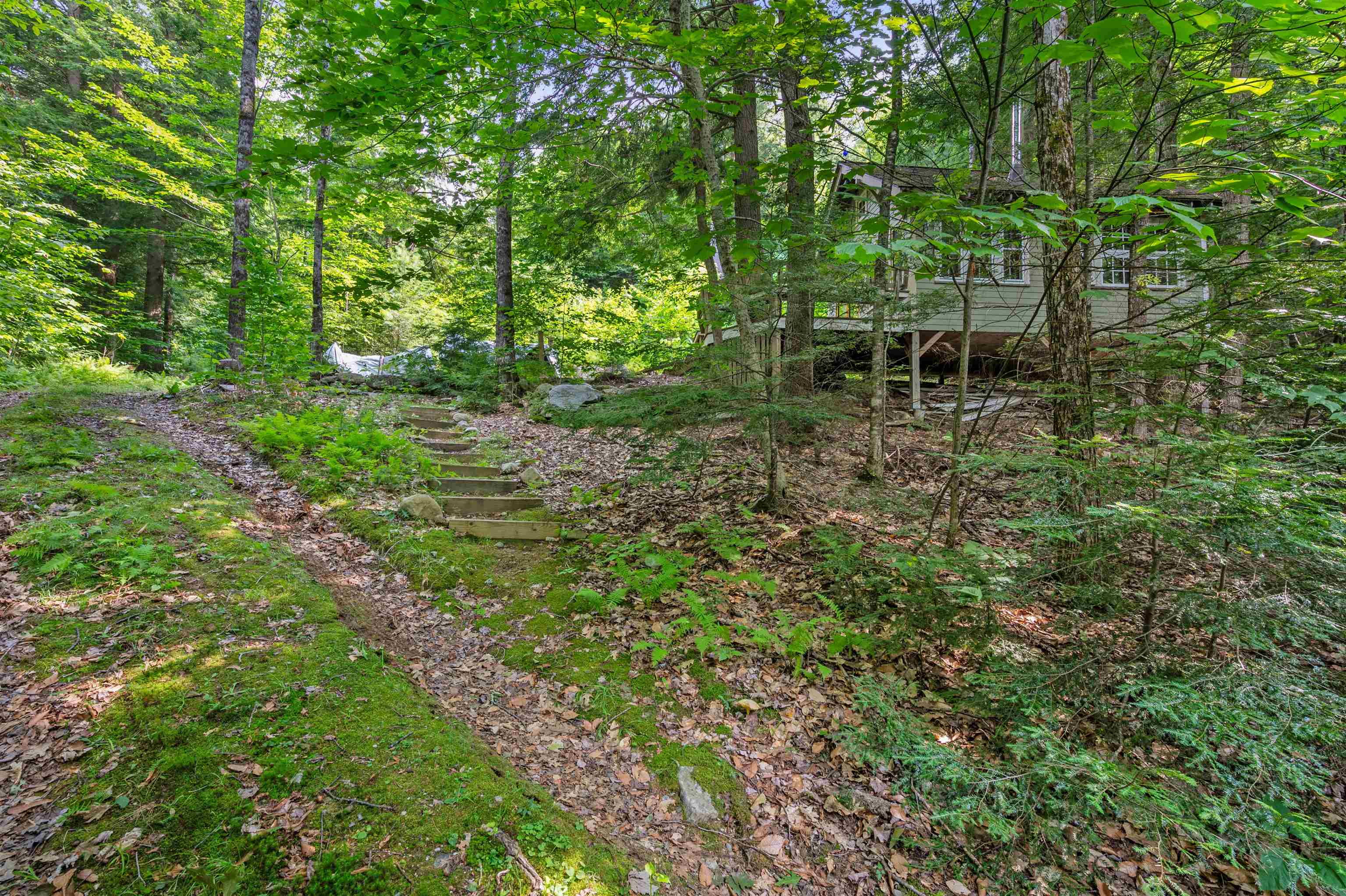 1099 Mt Cardigan Road