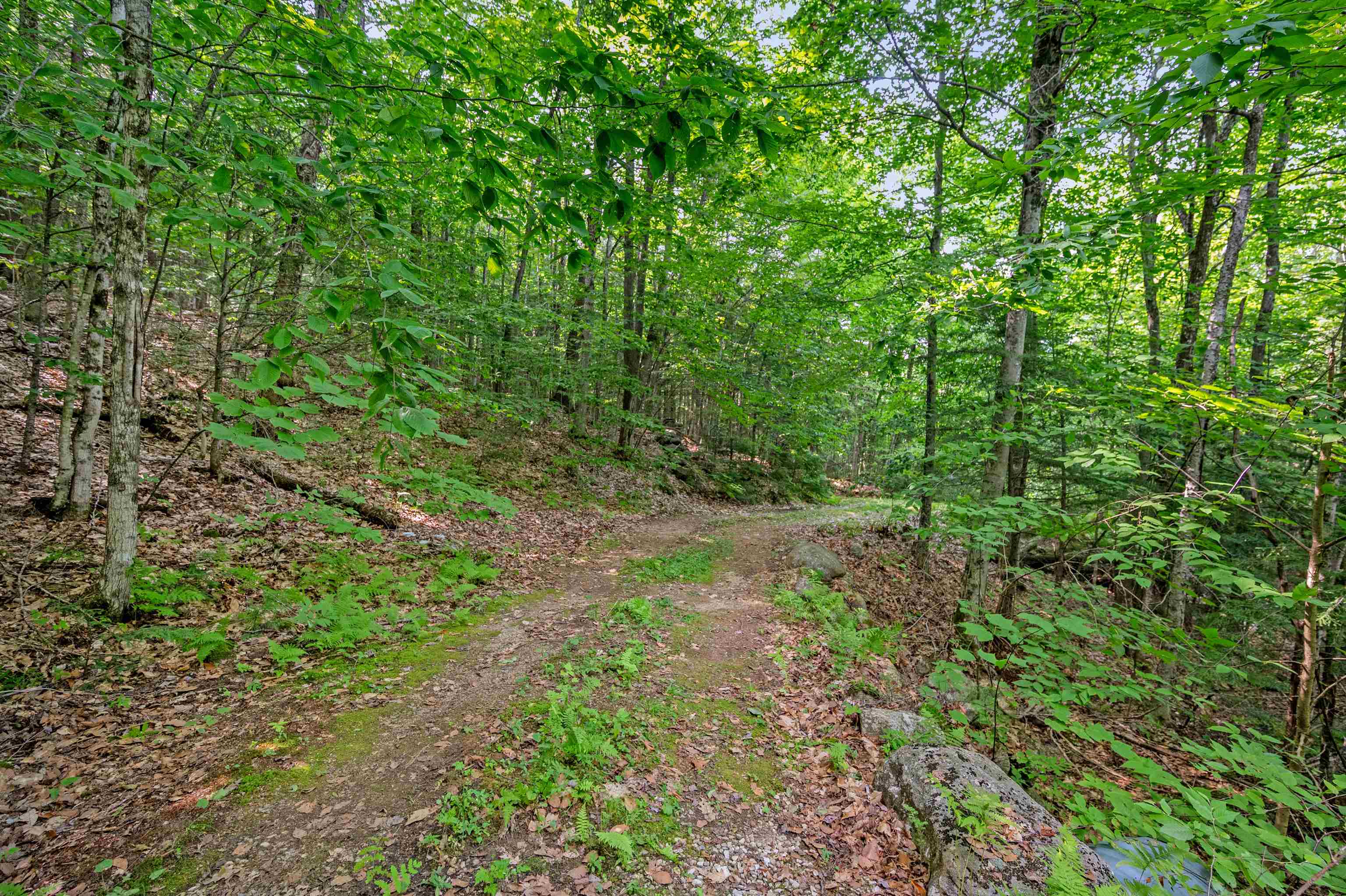 1099 Mt Cardigan Road