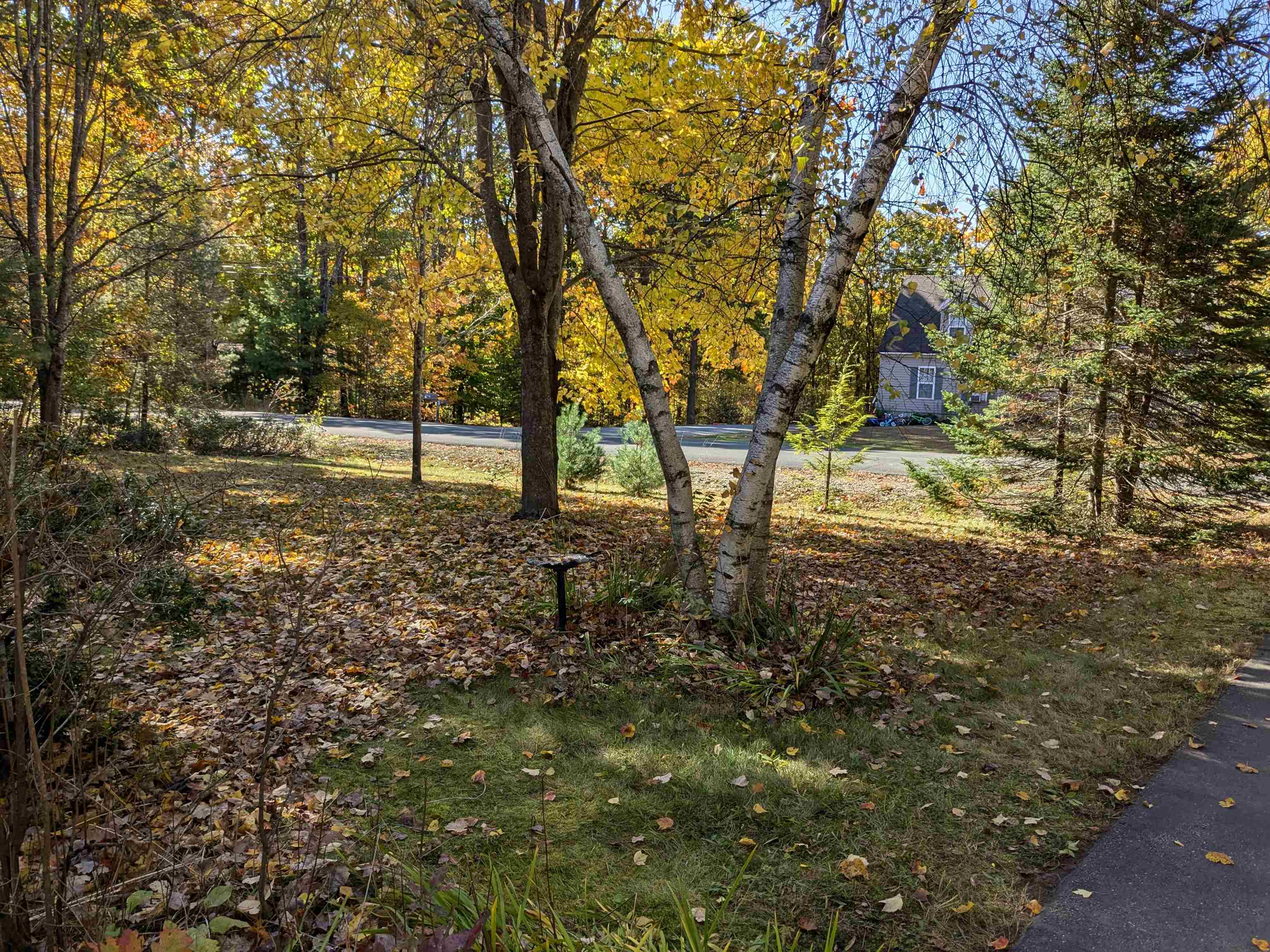 55 Acorn Drive